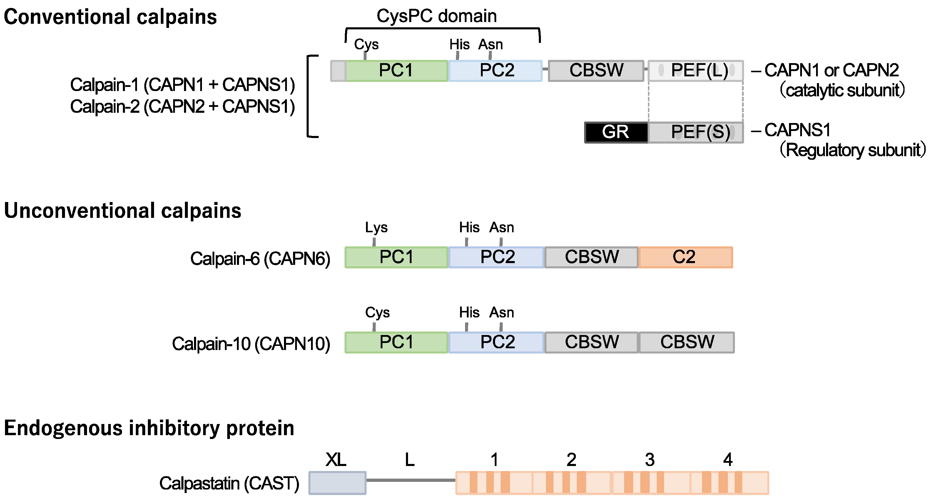 Preprints 87734 g001