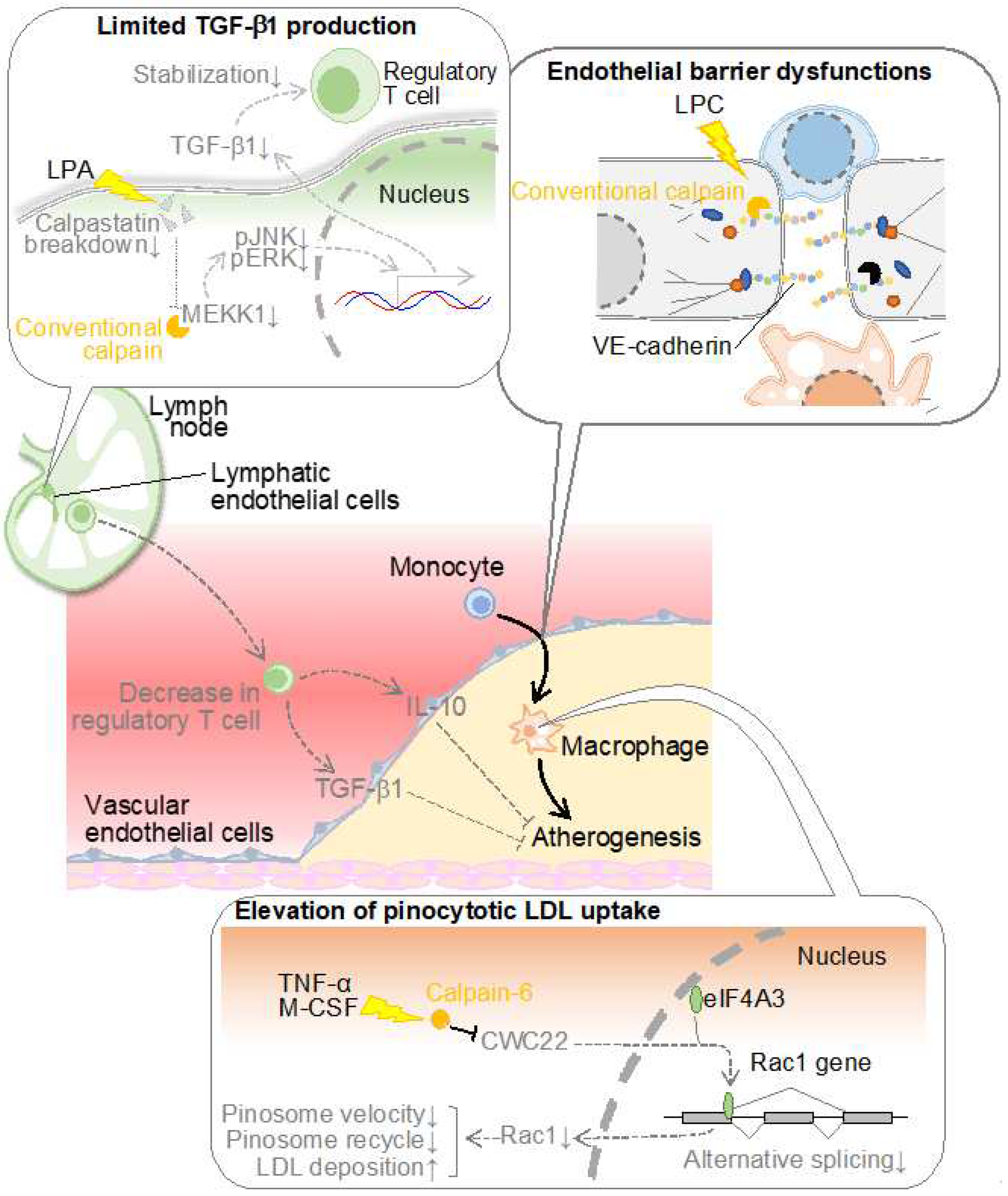 Preprints 87734 g002