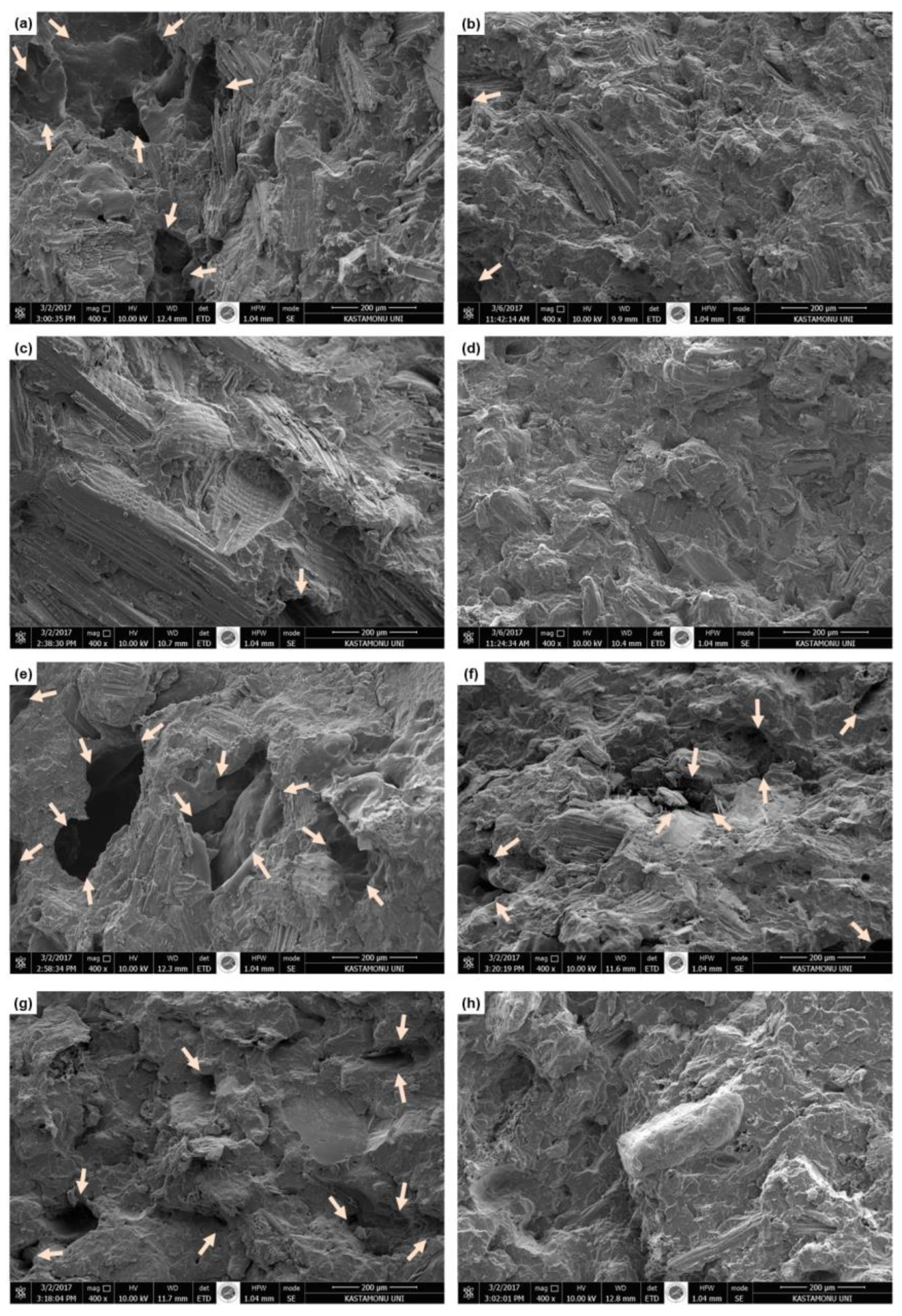 Preprints 71919 g002