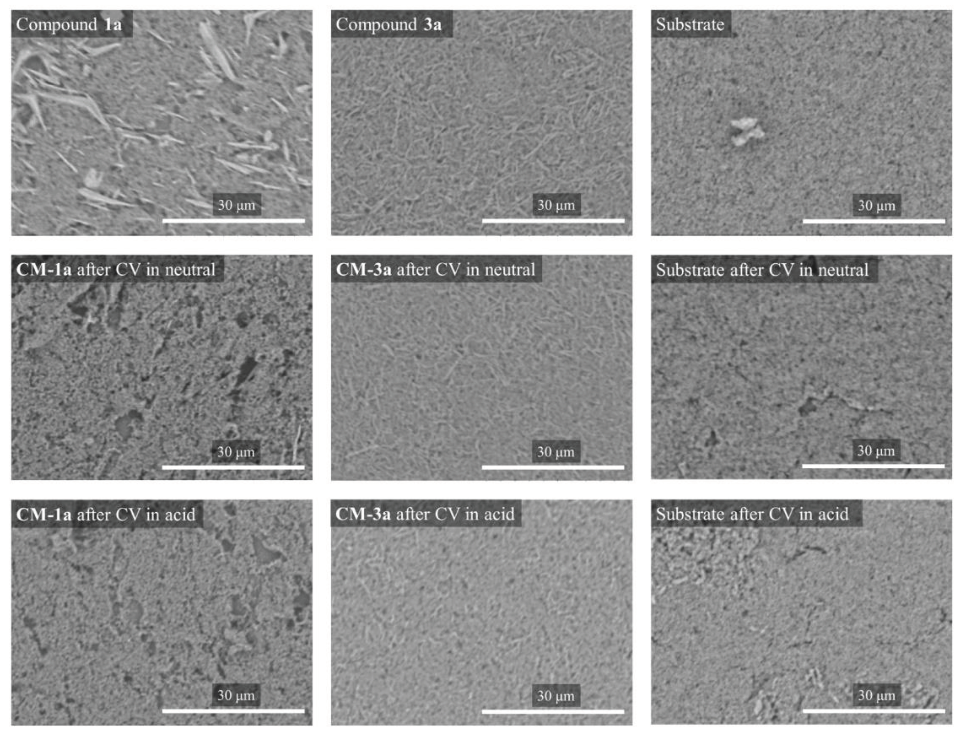 Preprints 100839 g008