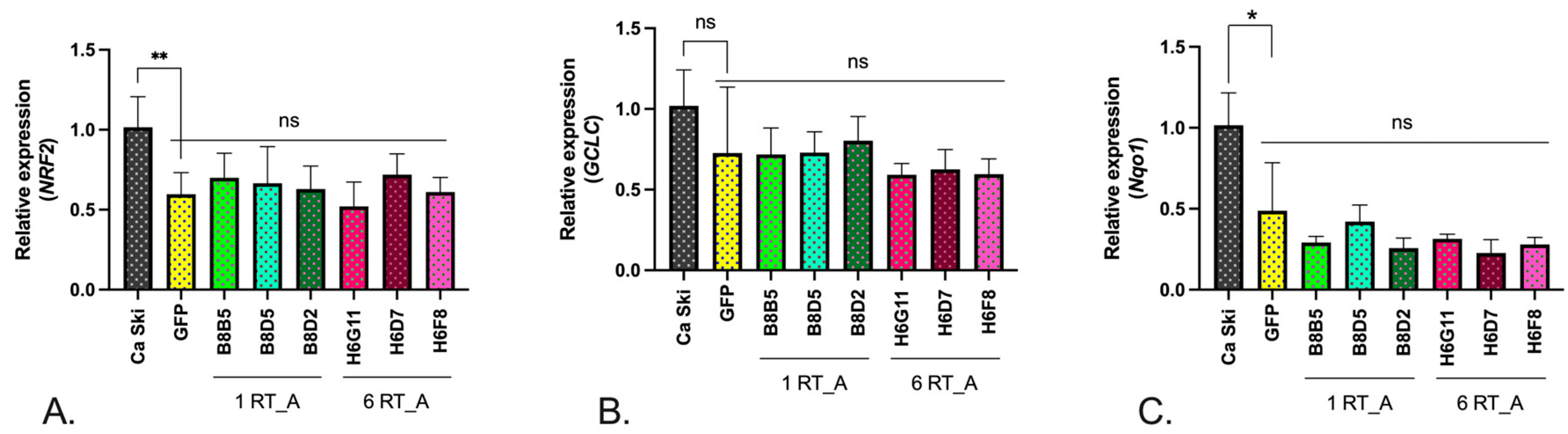 Preprints 94228 g007