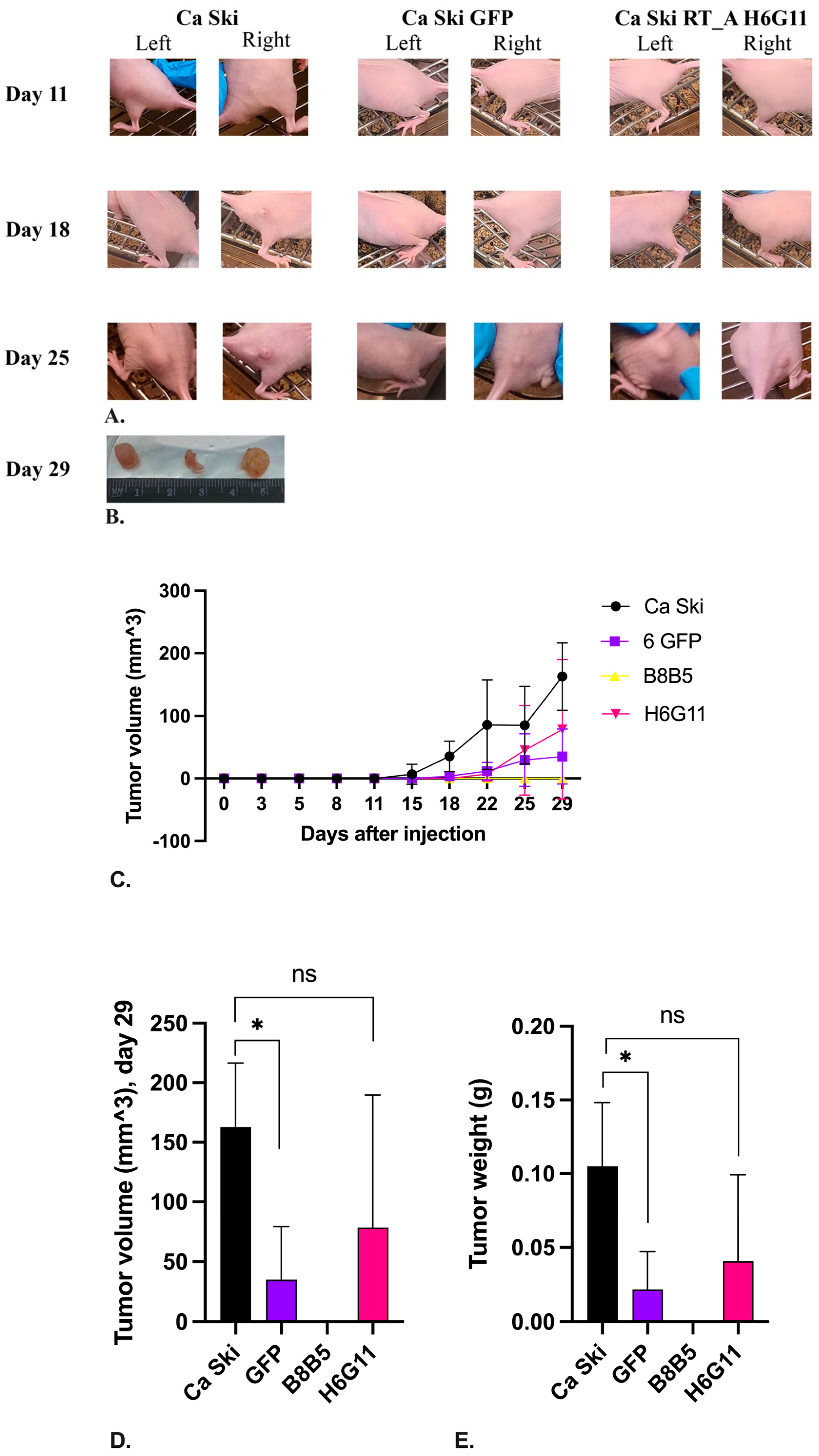 Preprints 94228 g010