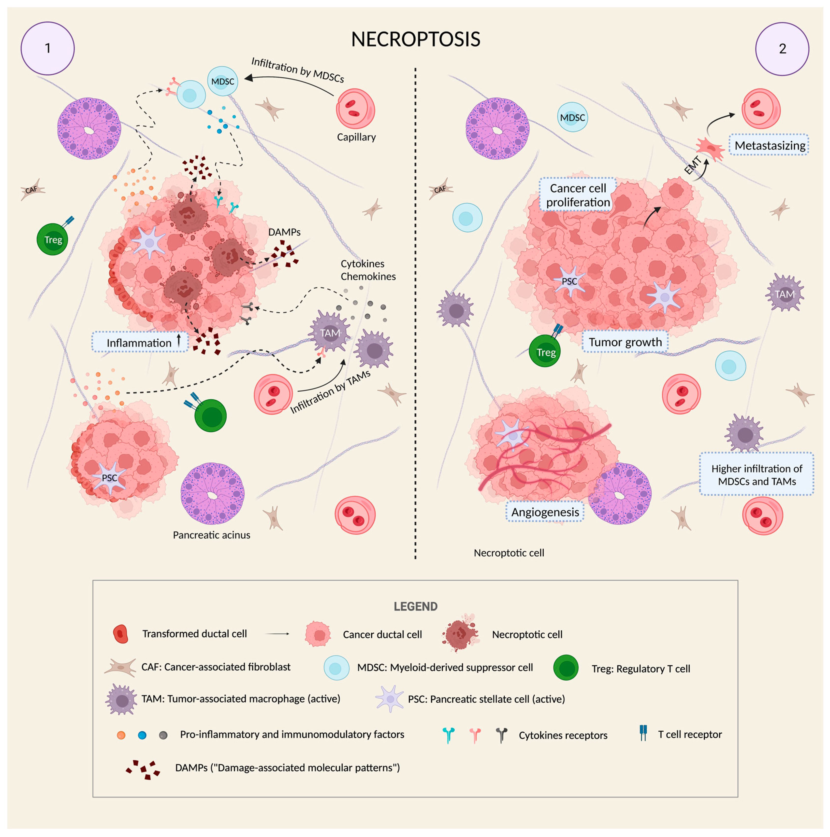 Preprints 79434 g002