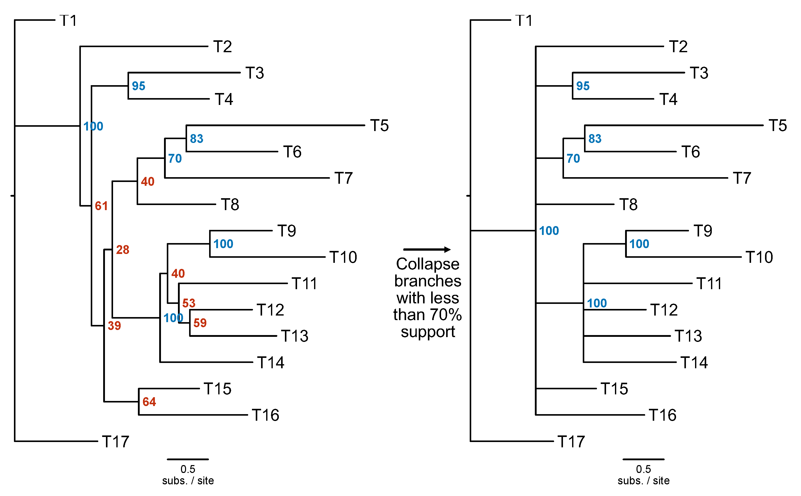 Preprints 104418 g005