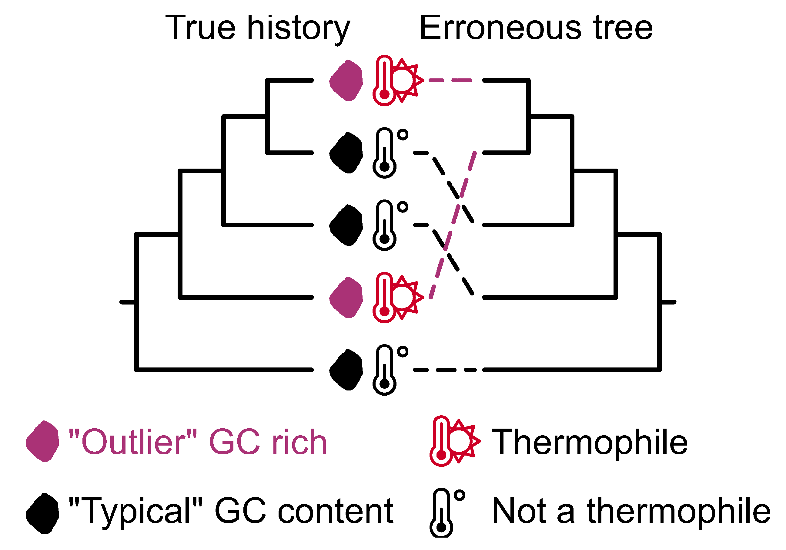 Preprints 104418 g010