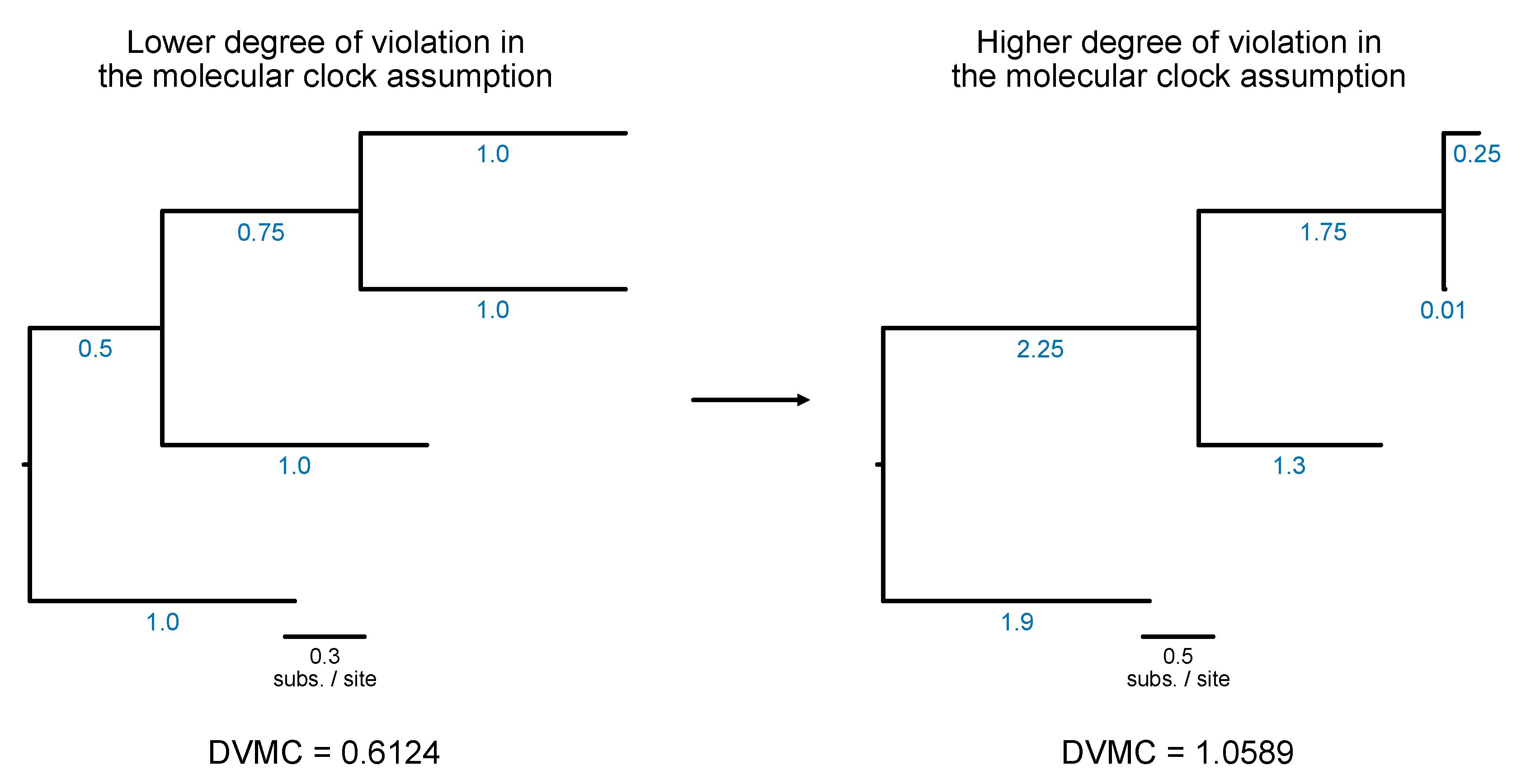 Preprints 104418 g019