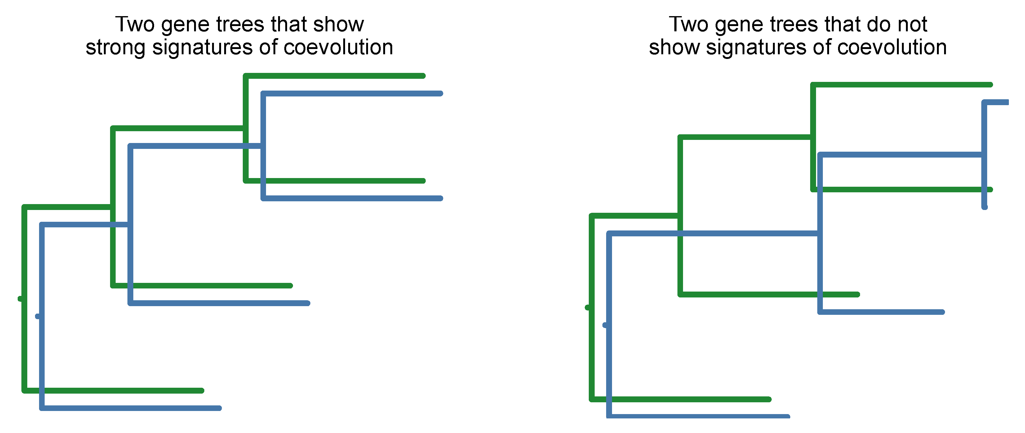 Preprints 104418 g021