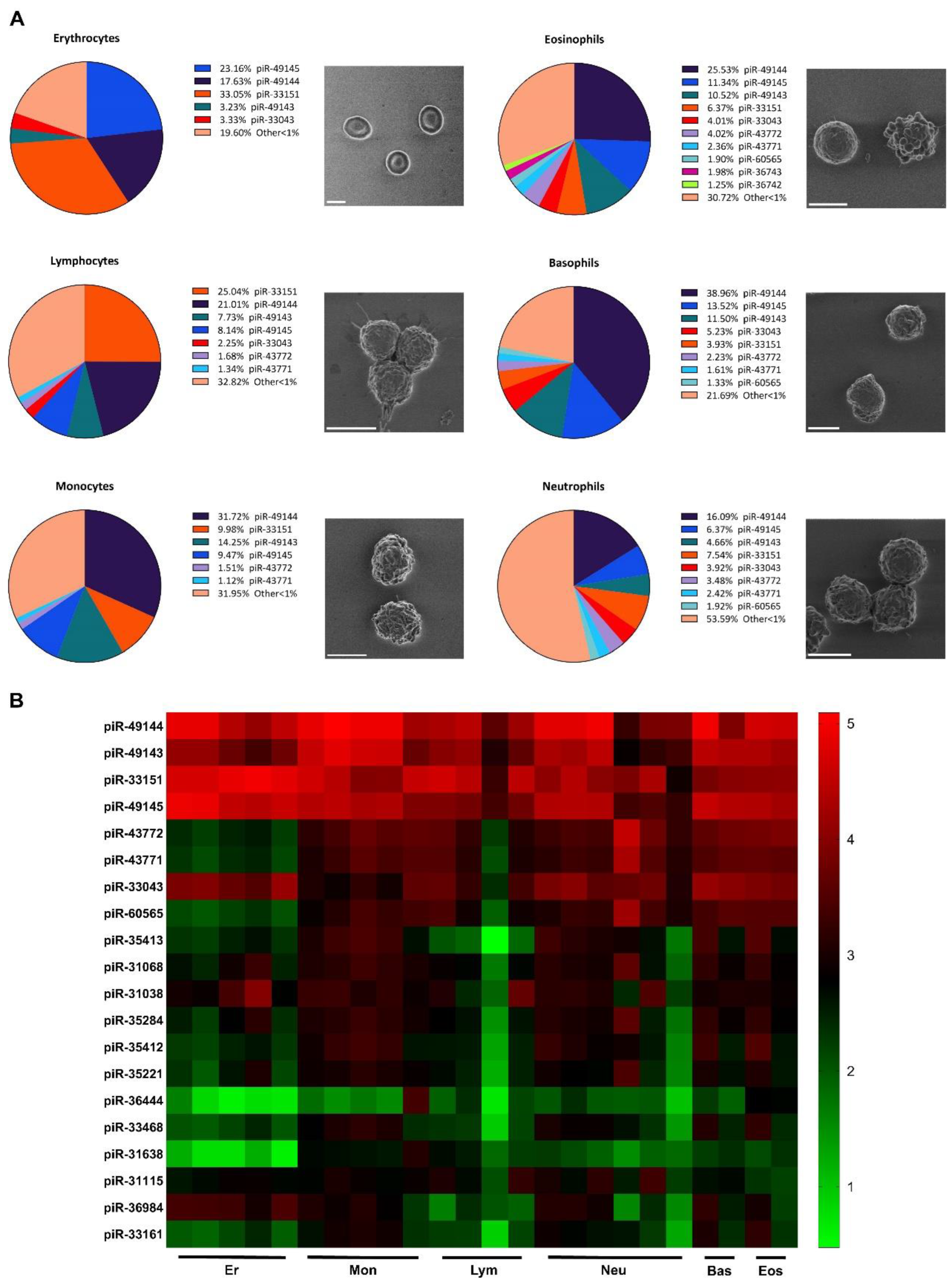 Preprints 98317 g001