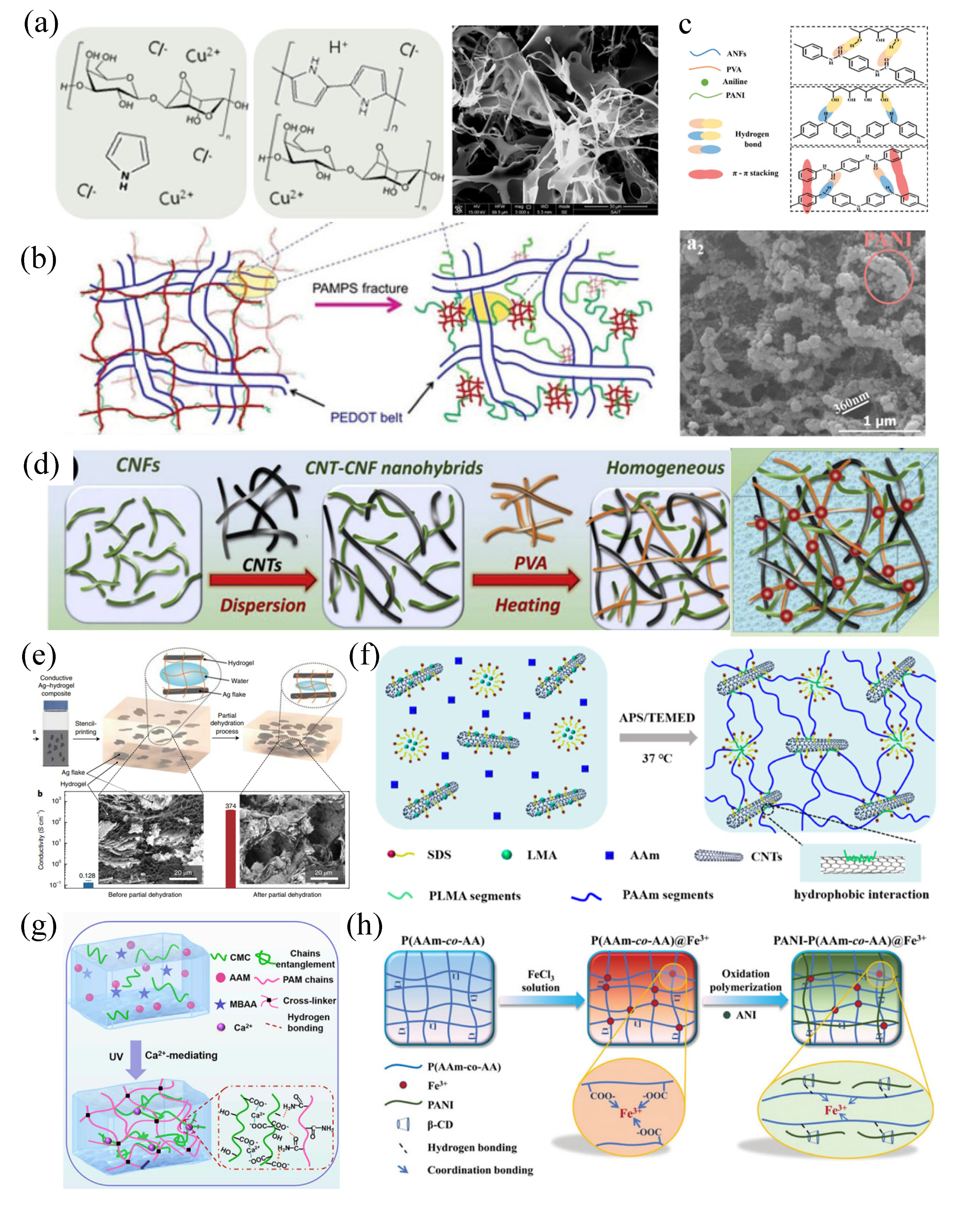 Preprints 102765 g002