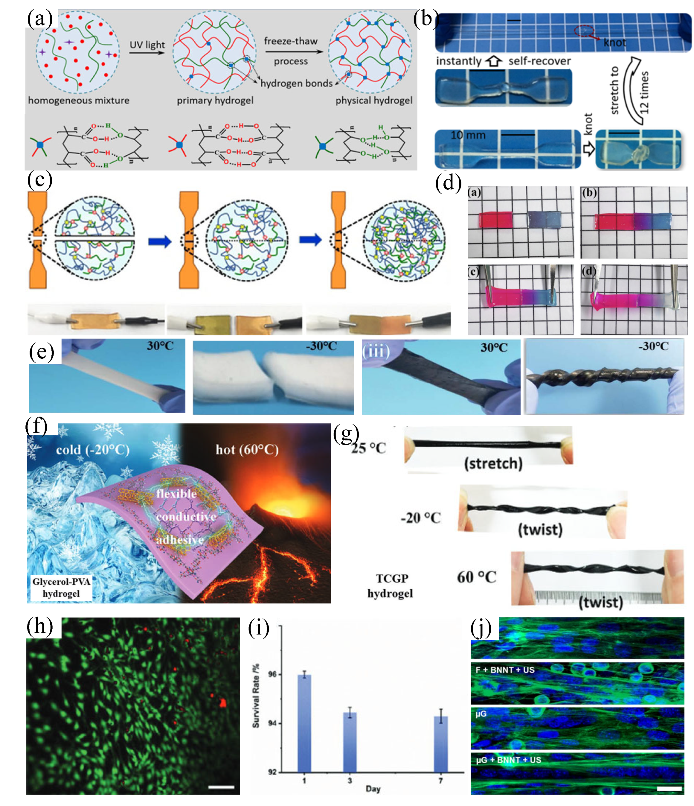 Preprints 102765 g004