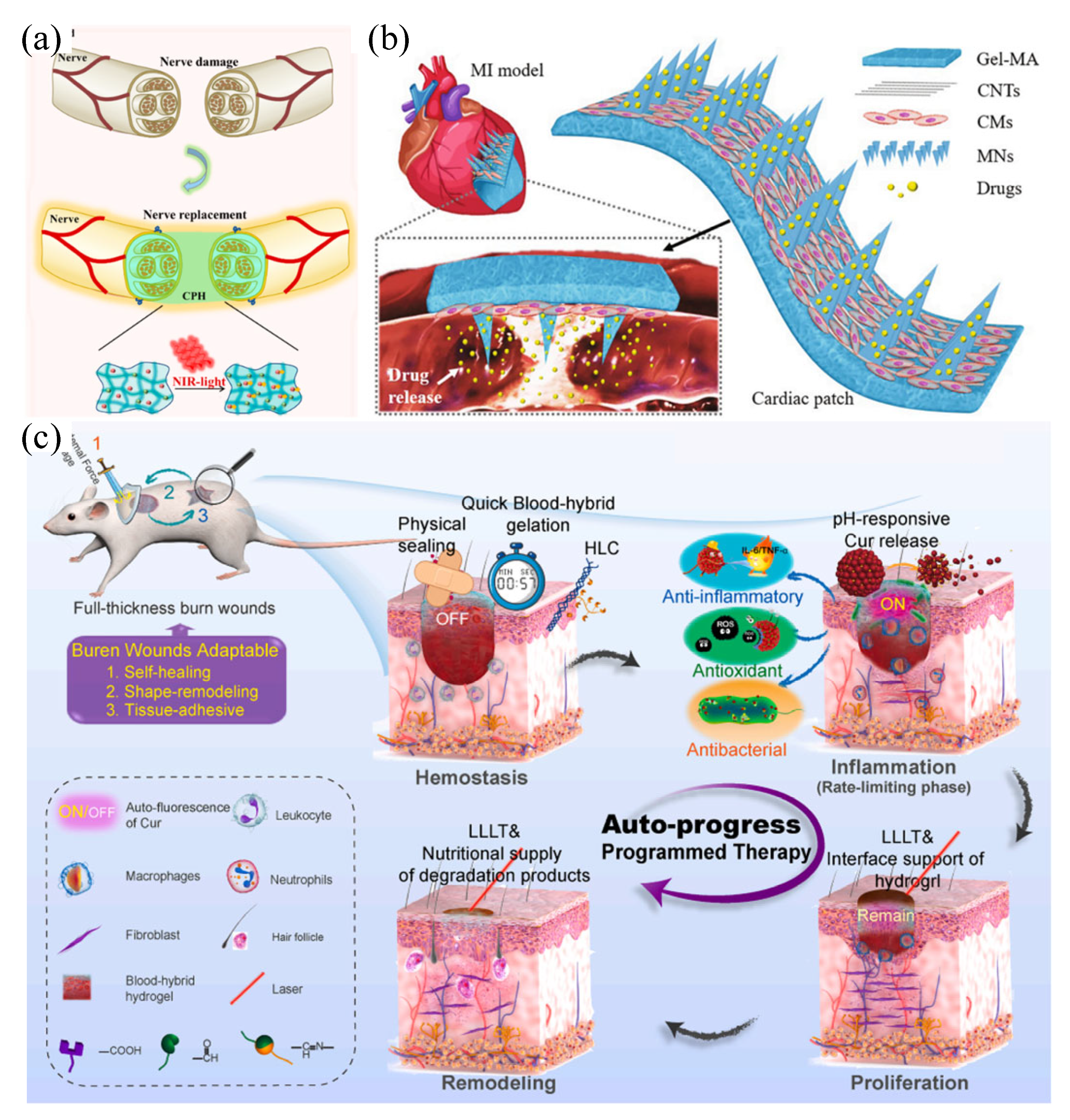 Preprints 102765 g005