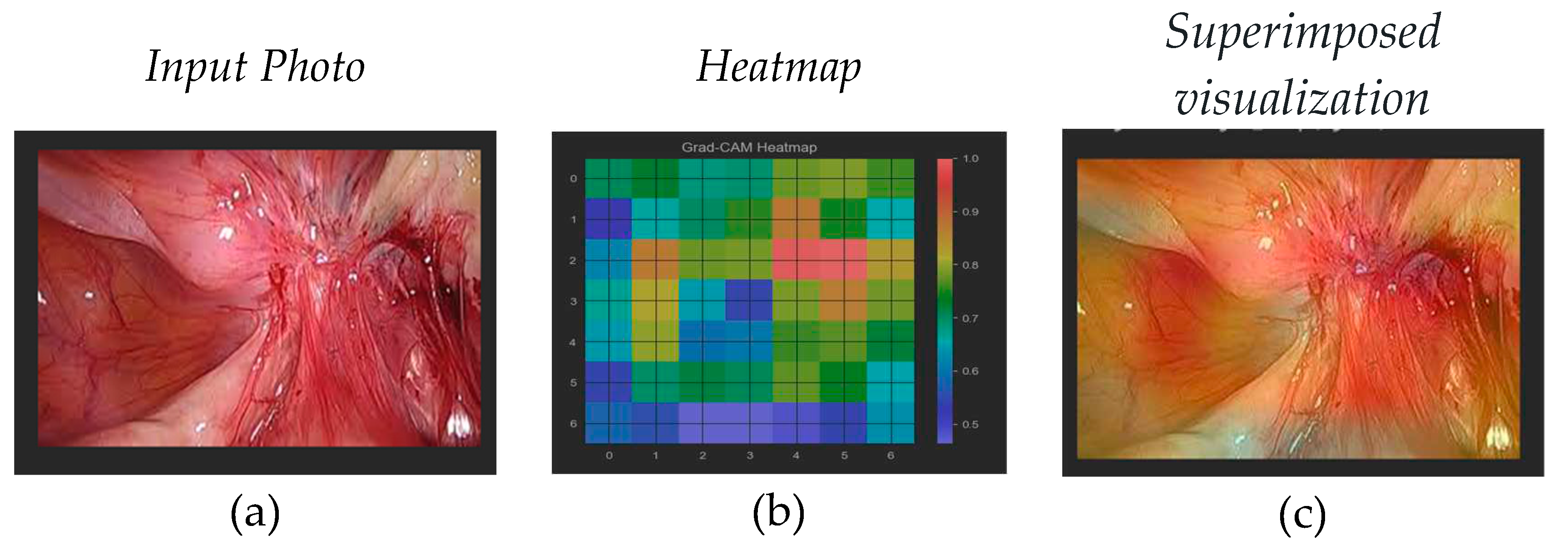 Preprints 92441 g003