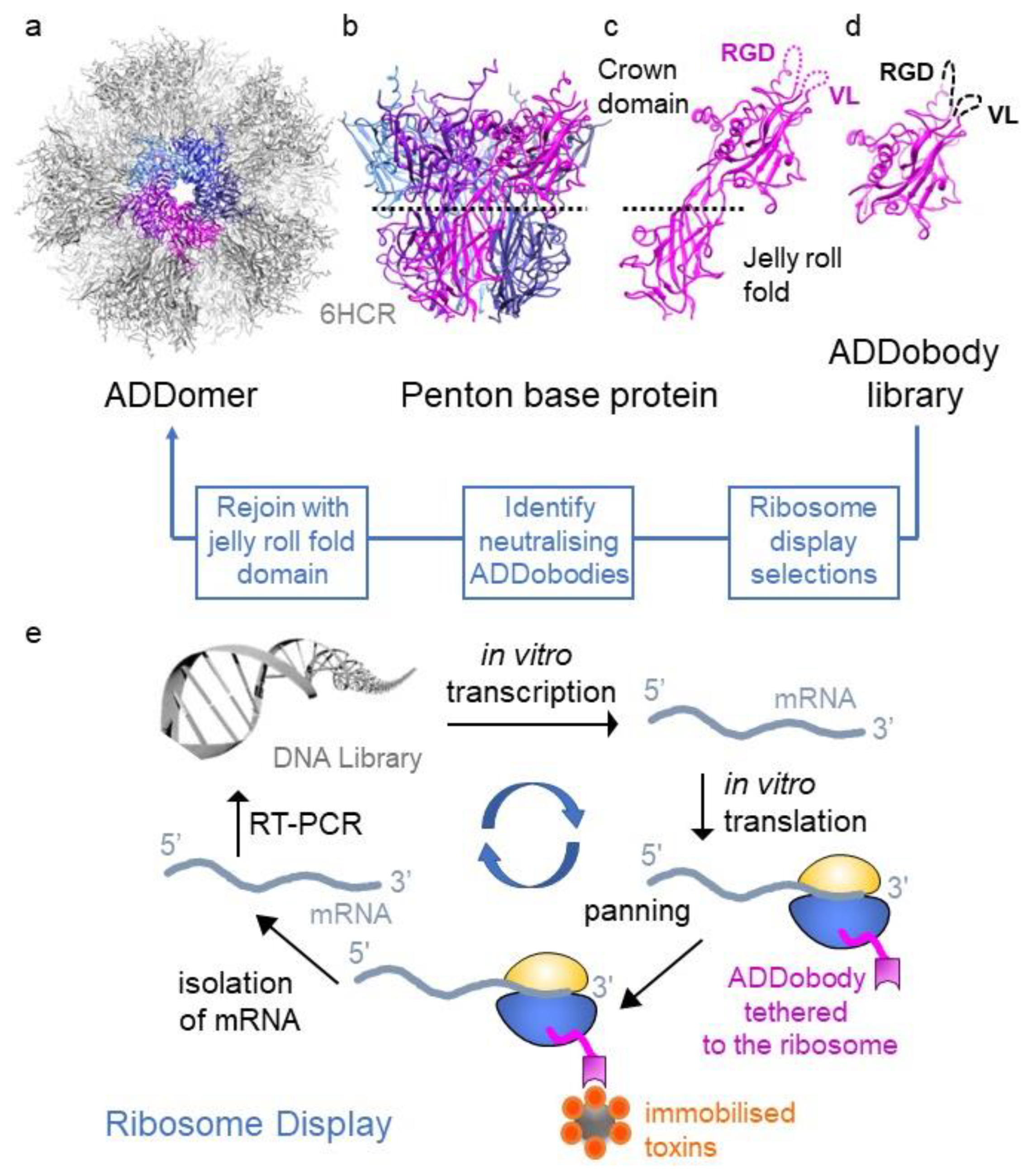 Preprints 87954 g001