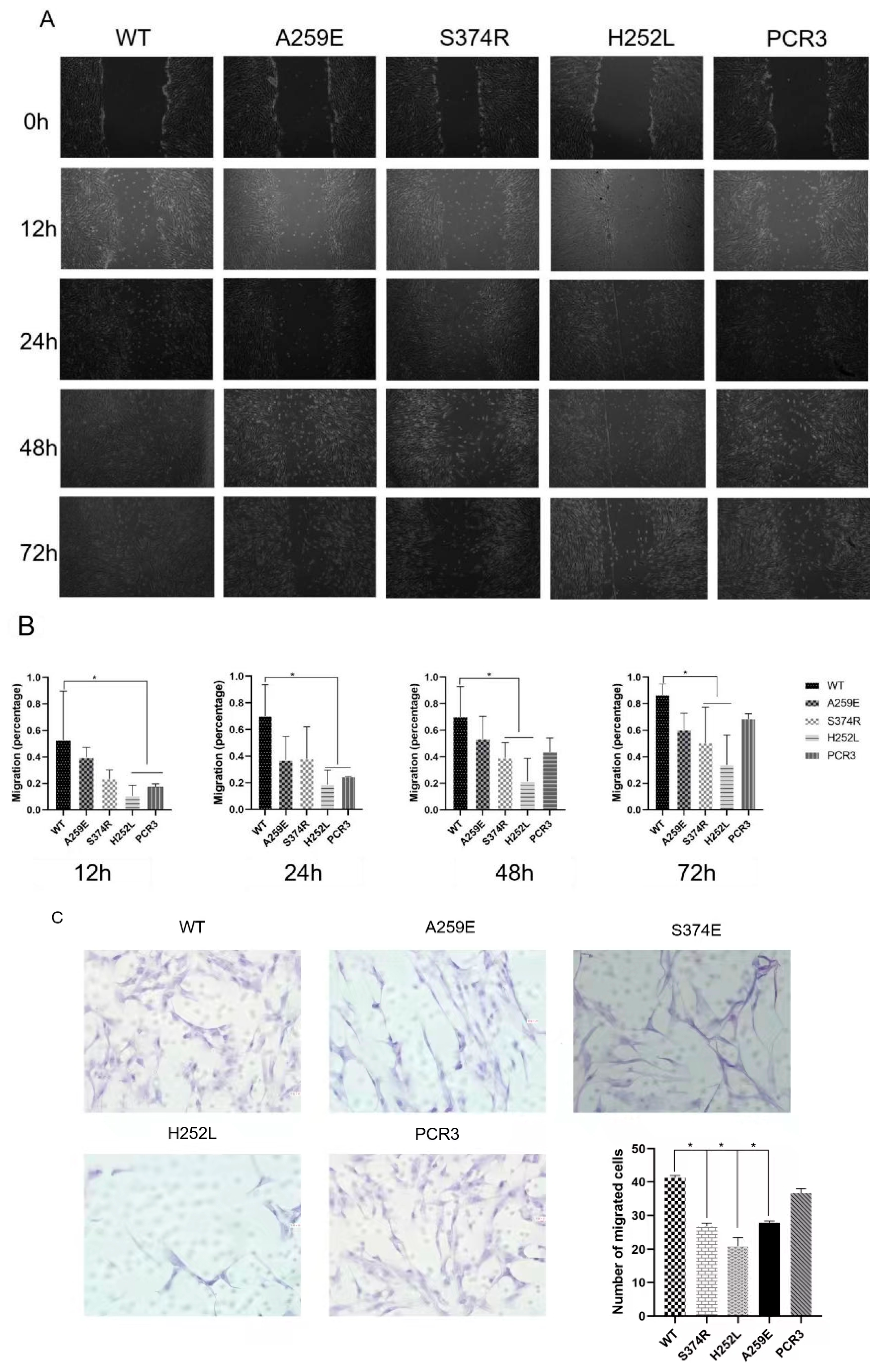 Preprints 114168 g002