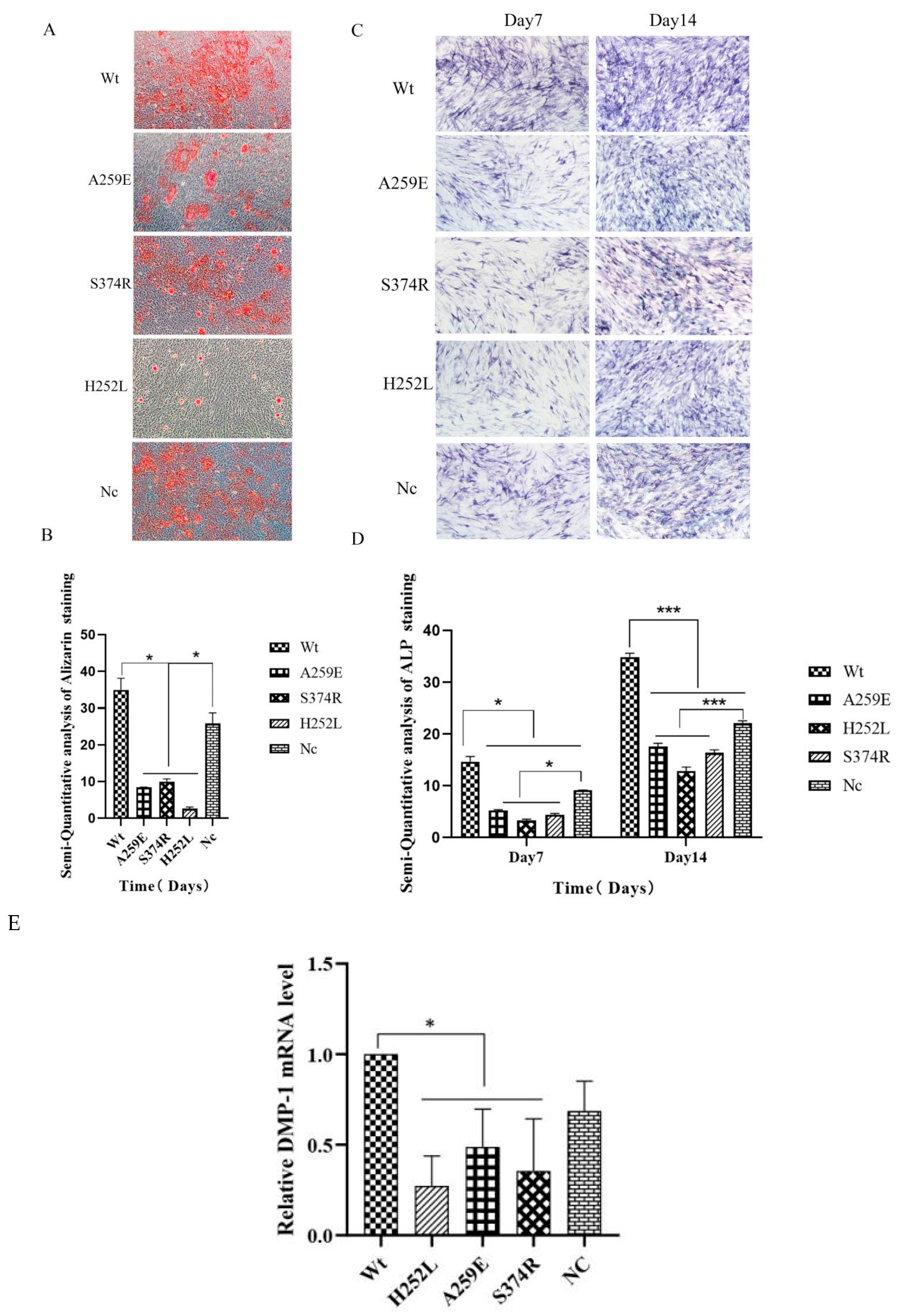 Preprints 114168 g003