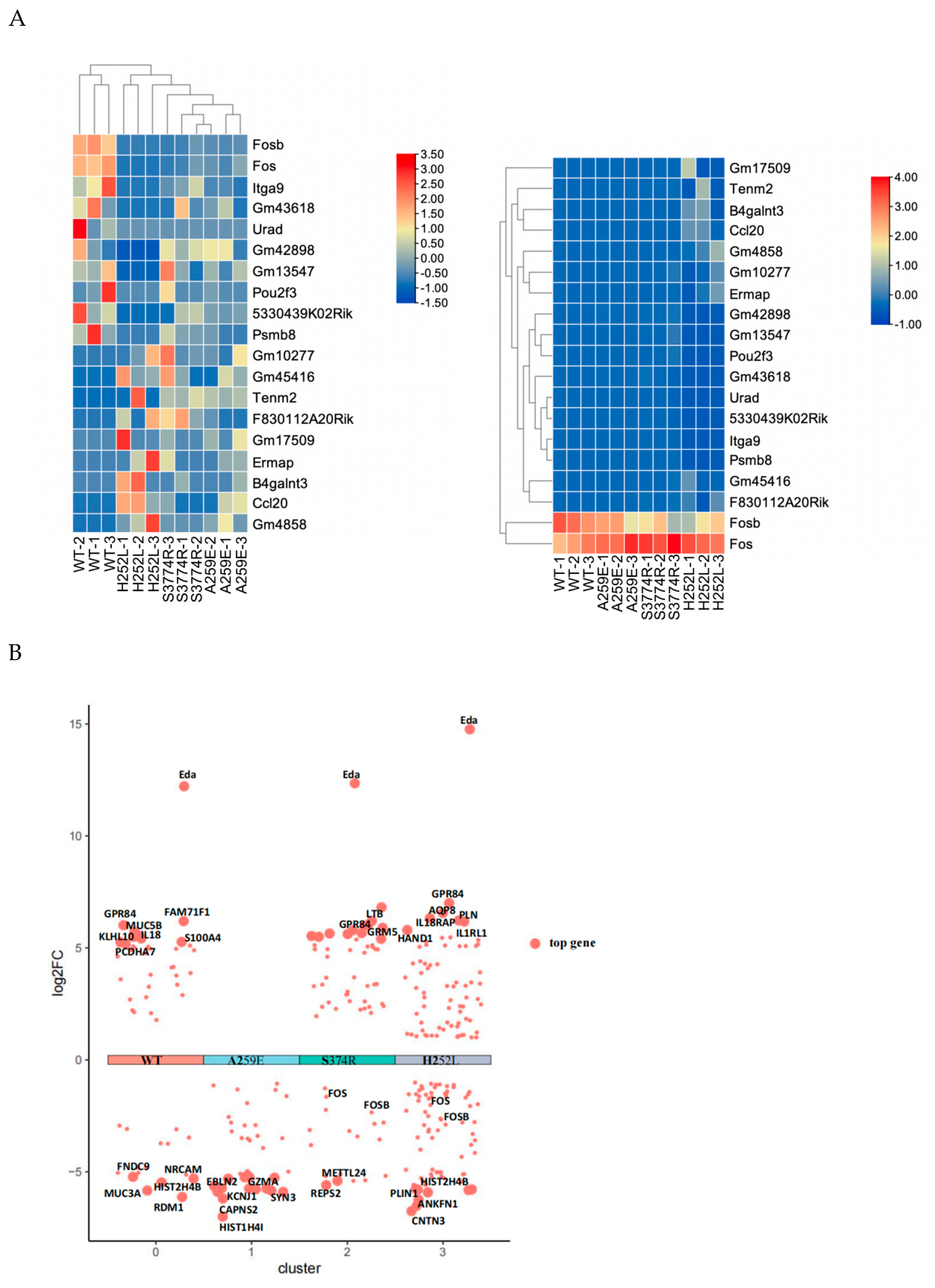 Preprints 114168 g004a