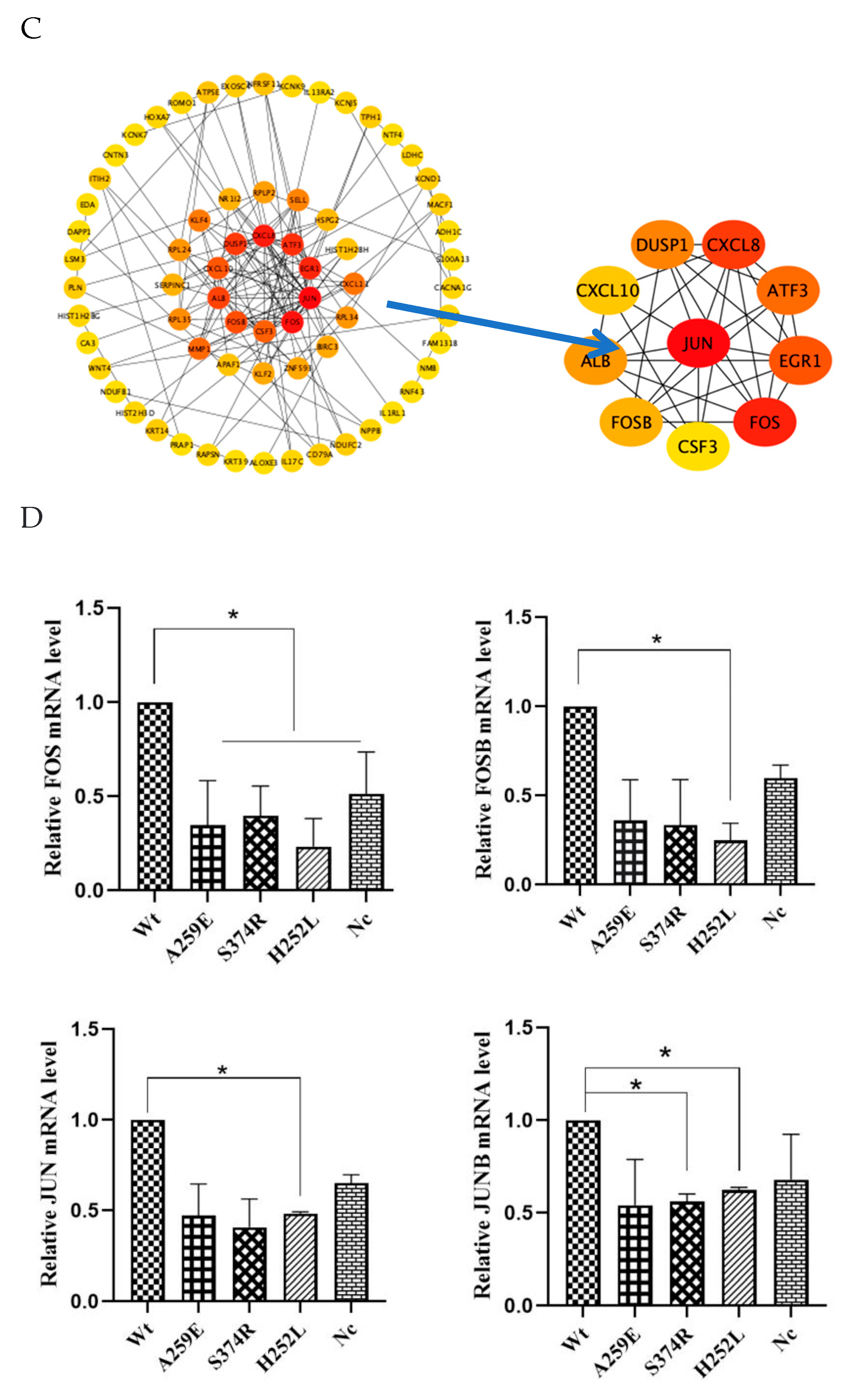 Preprints 114168 g004b