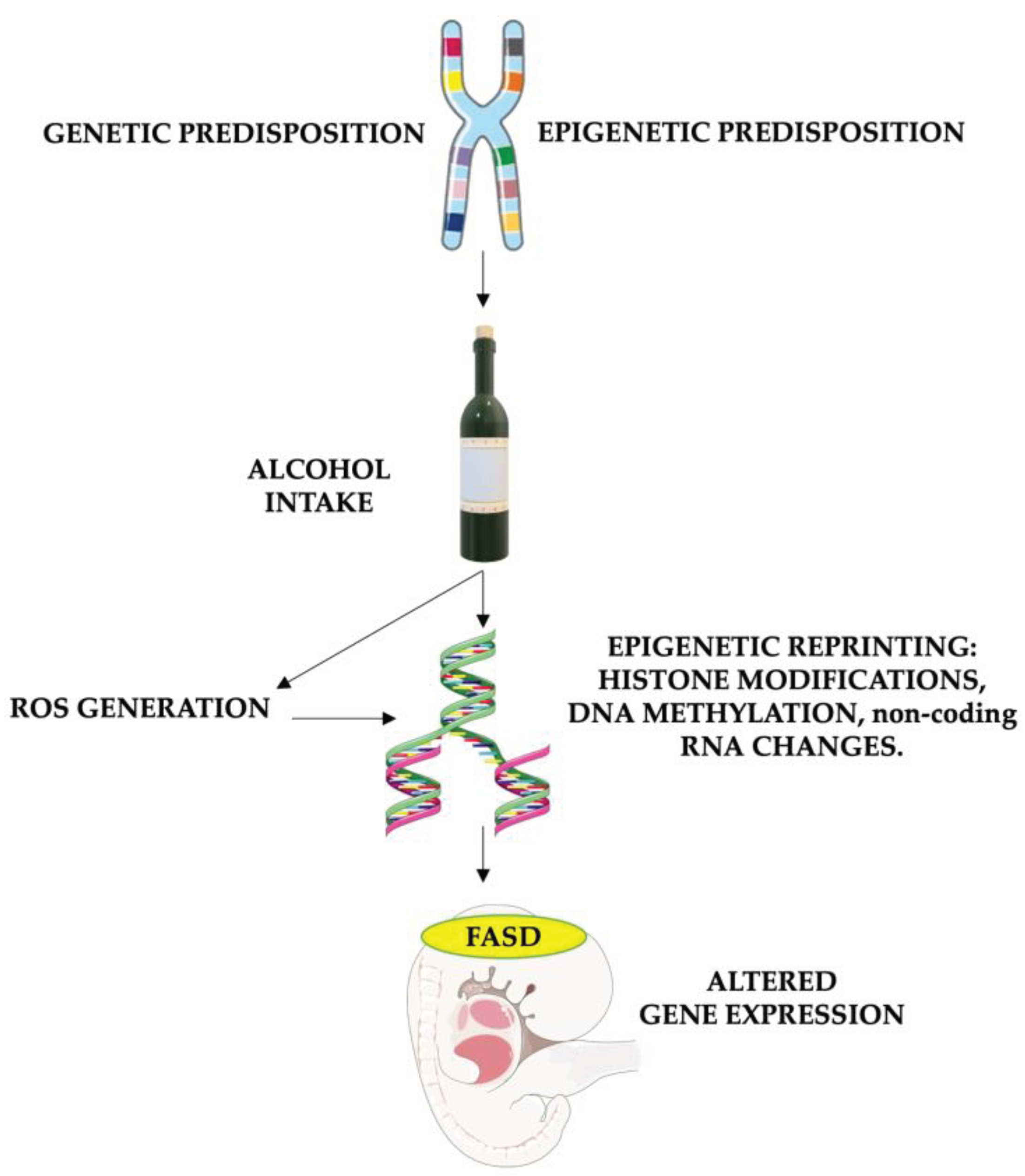 Preprints 100809 g002