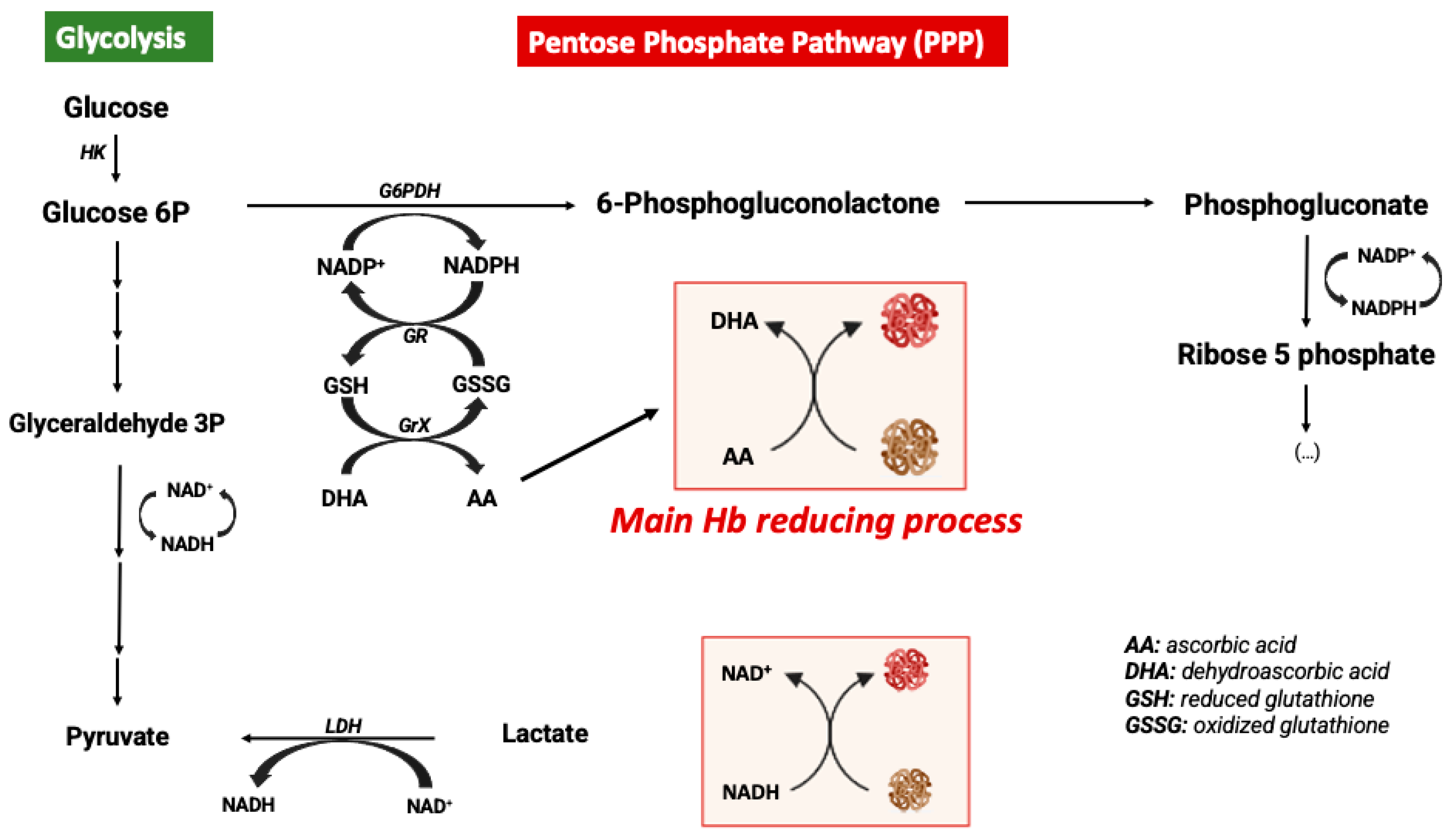 Preprints 73090 g002