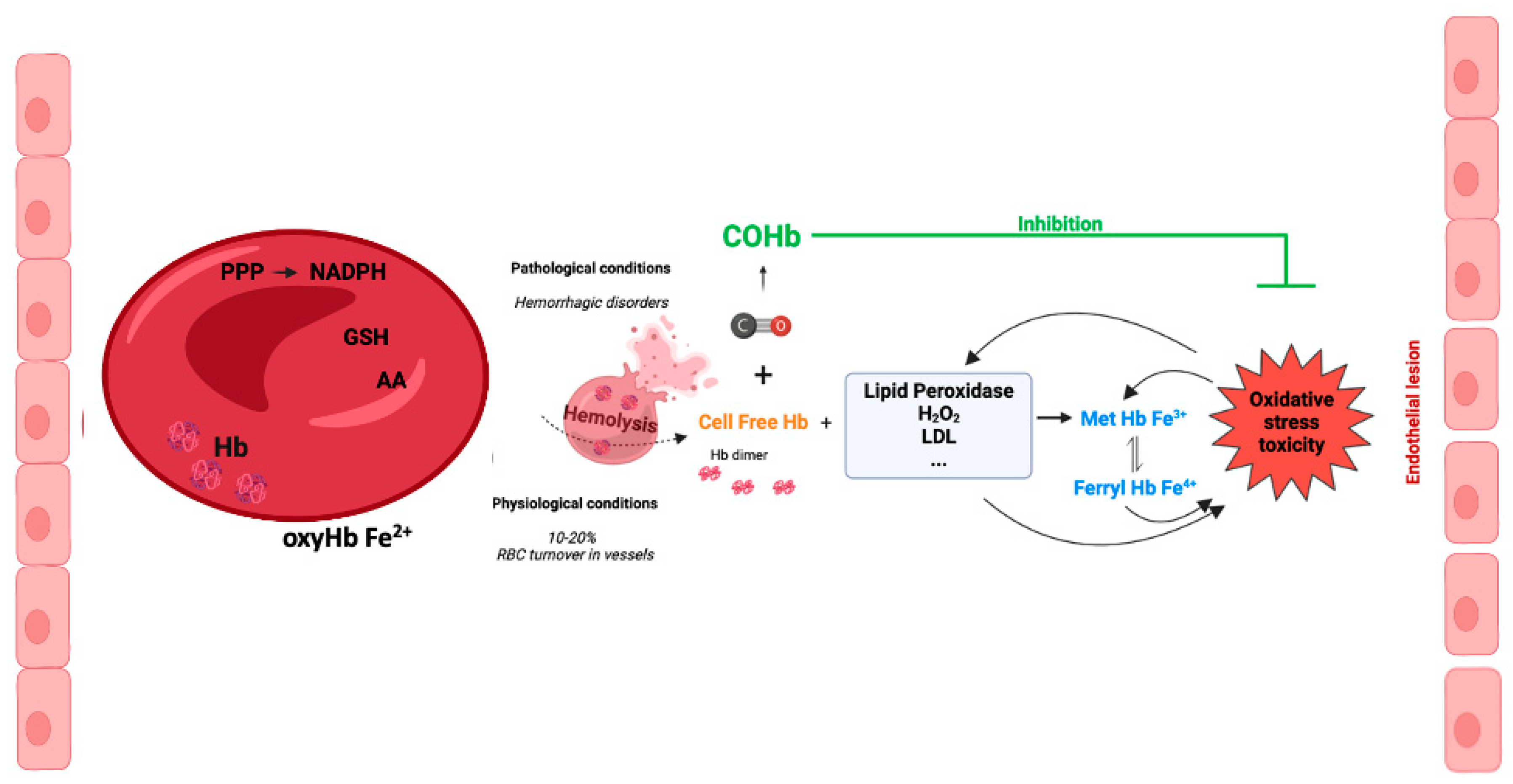 Preprints 73090 g003