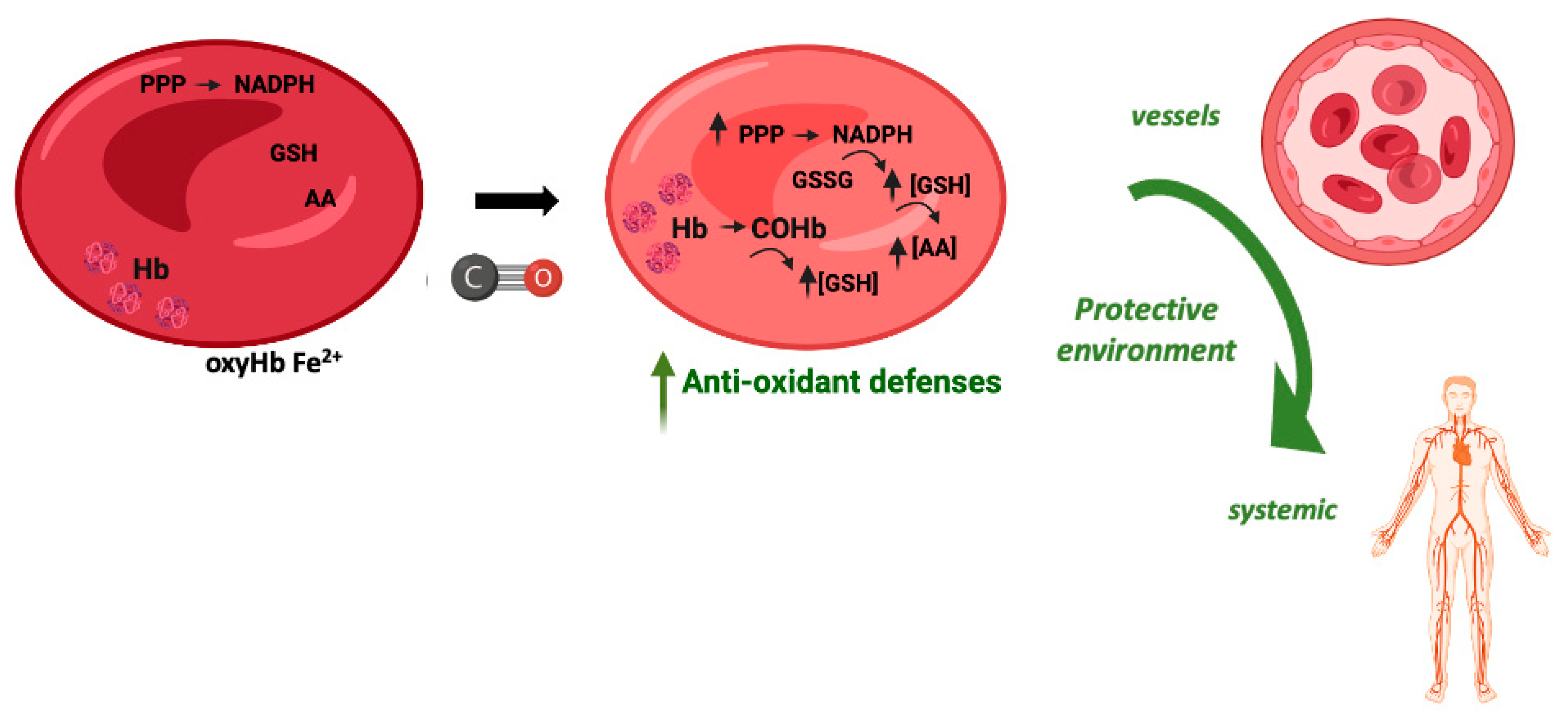 Preprints 73090 g004