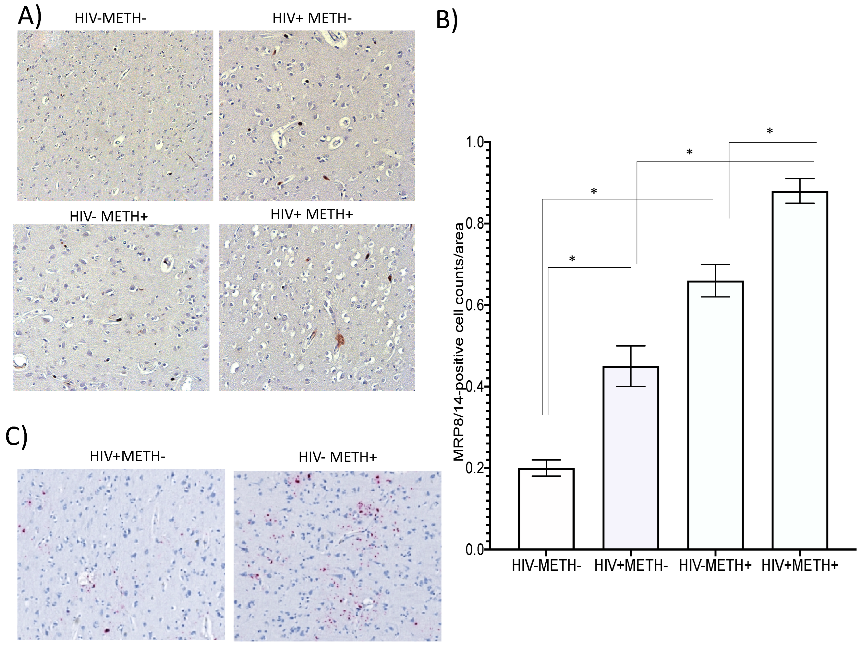 Preprints 72493 g010