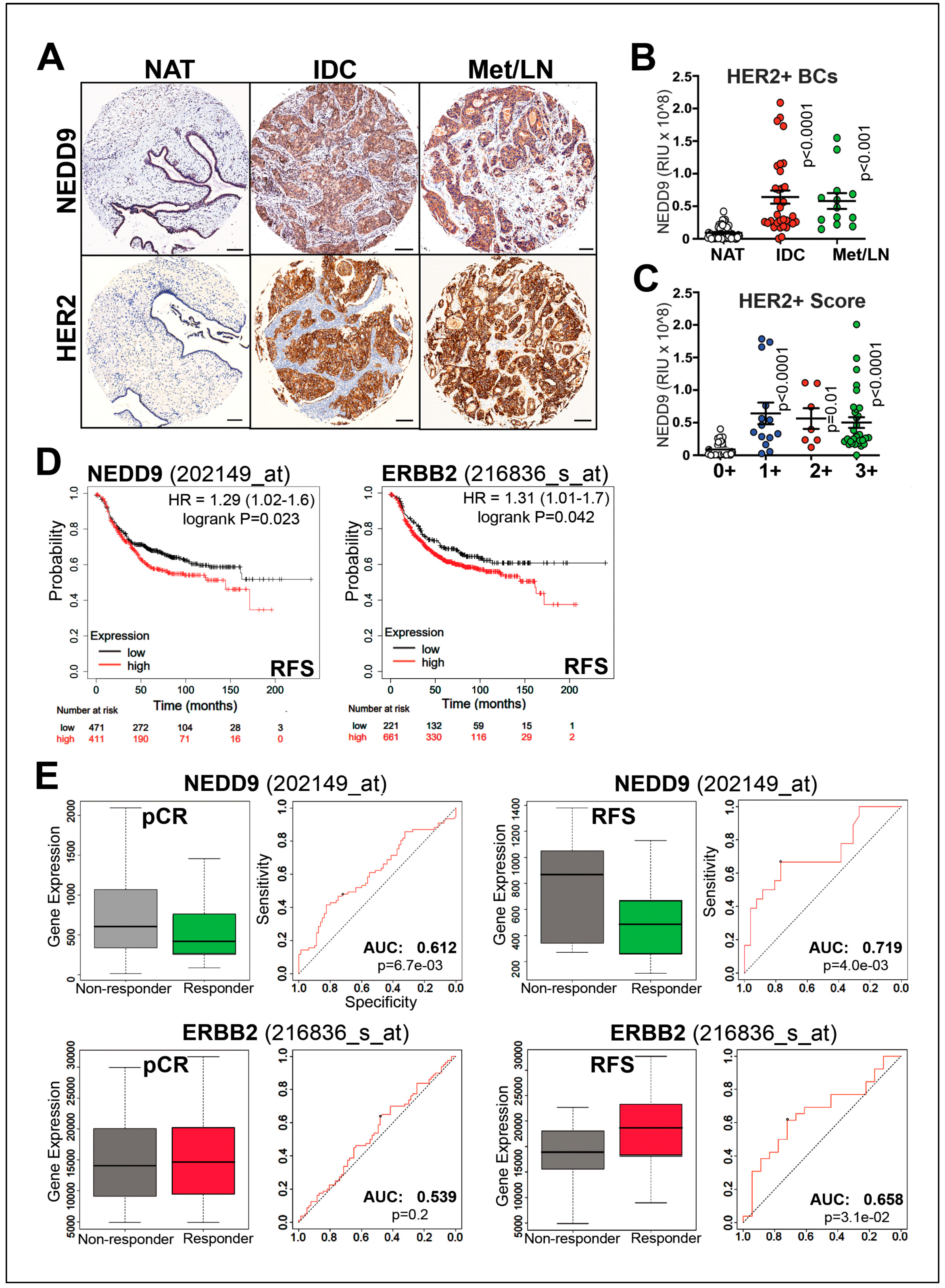 Preprints 66566 g001