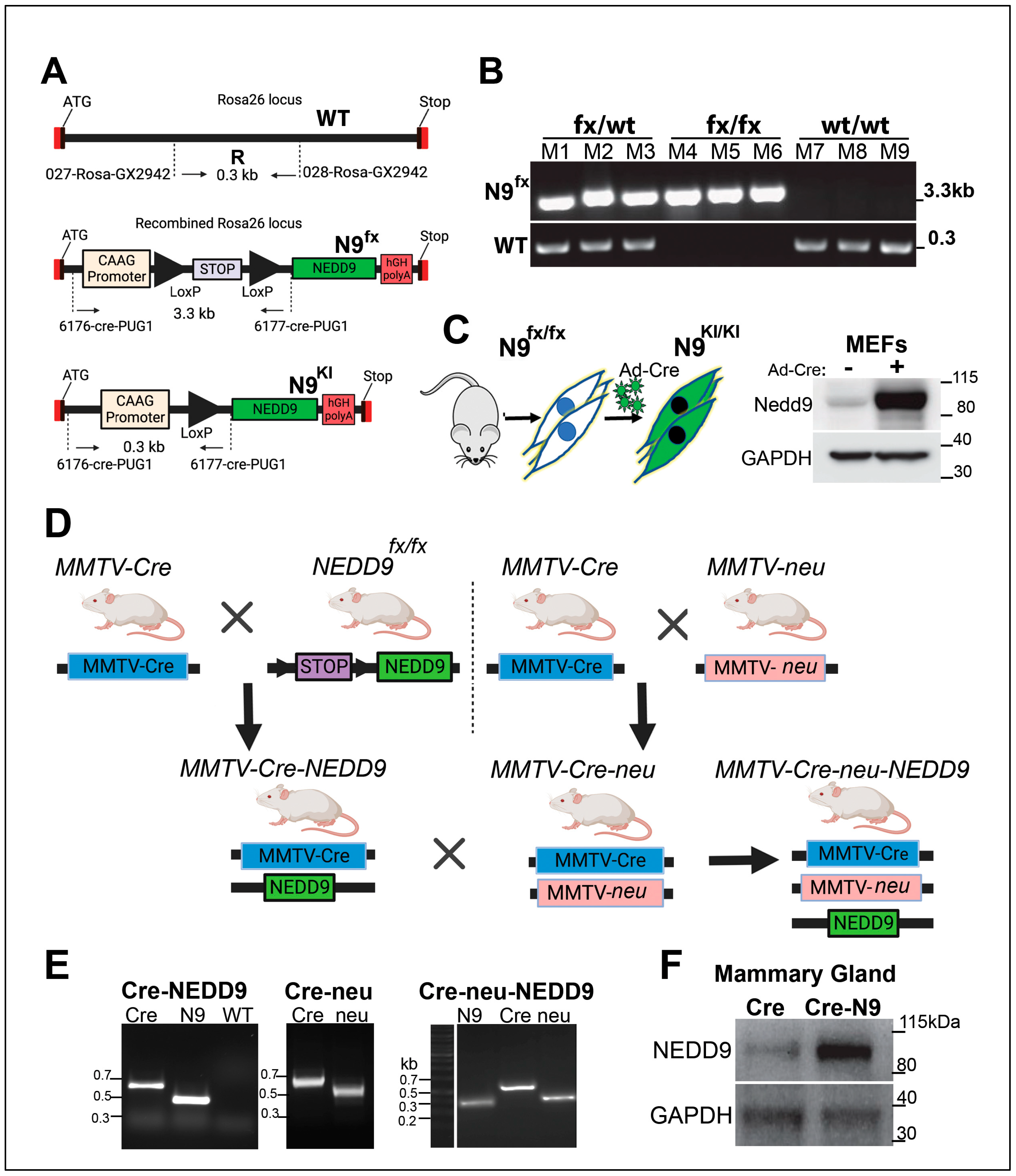 Preprints 66566 g002