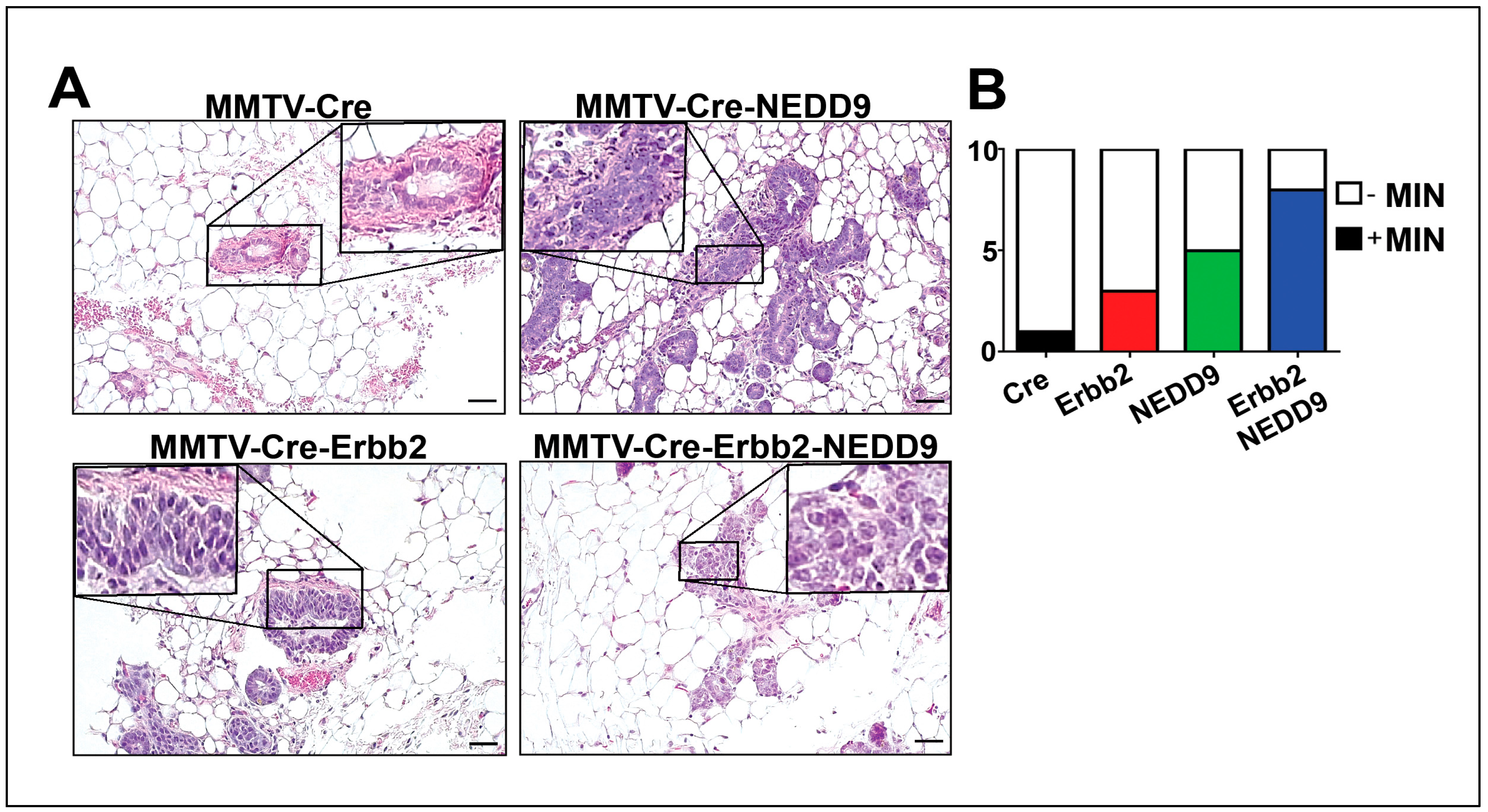 Preprints 66566 g004