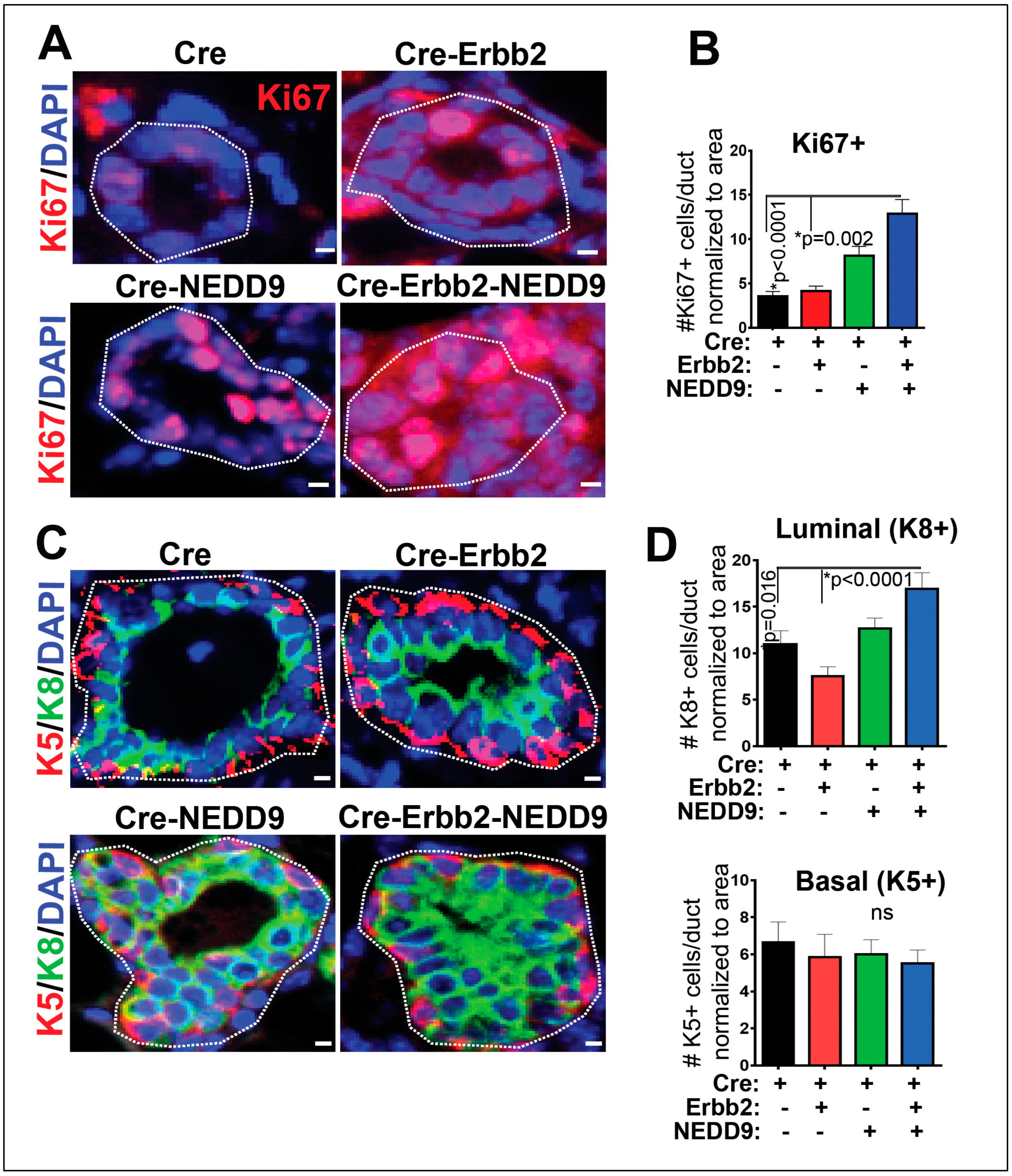 Preprints 66566 g005