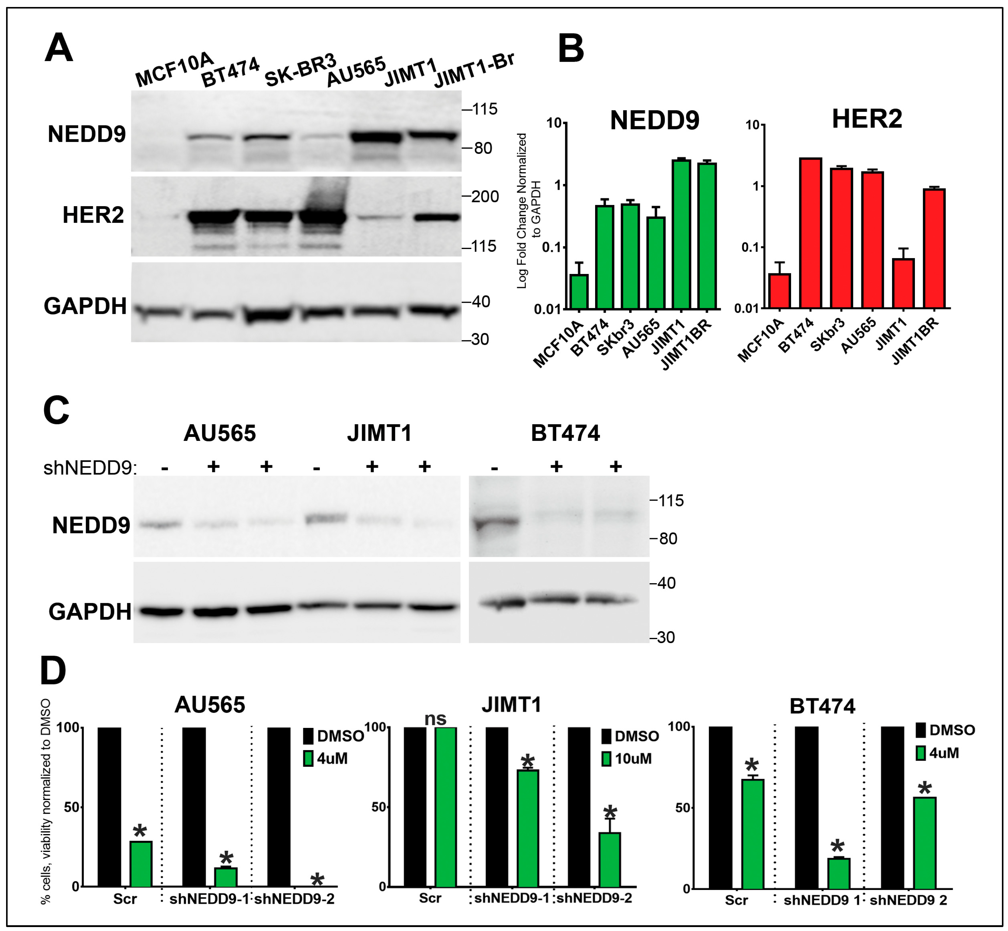 Preprints 66566 g006