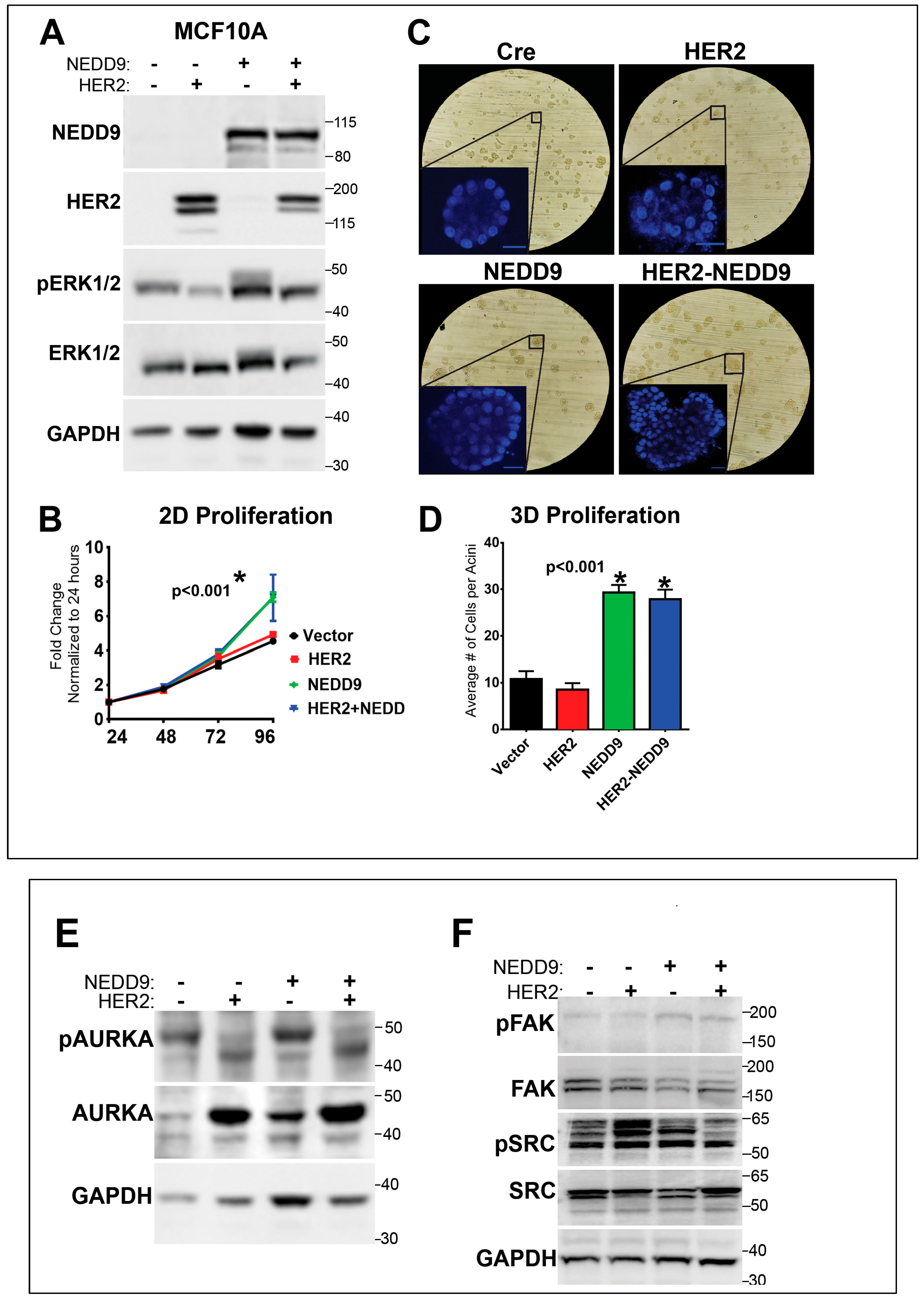 Preprints 66566 g007