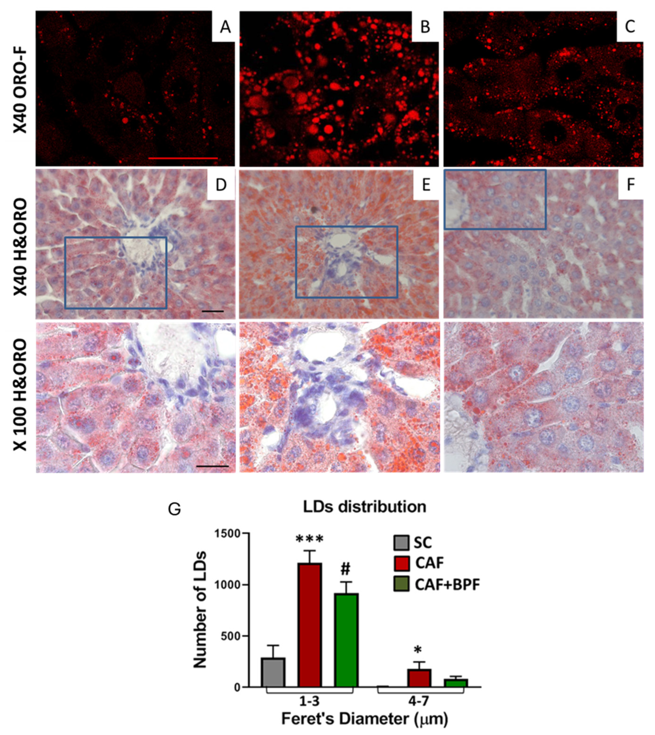 Preprints 103625 g003