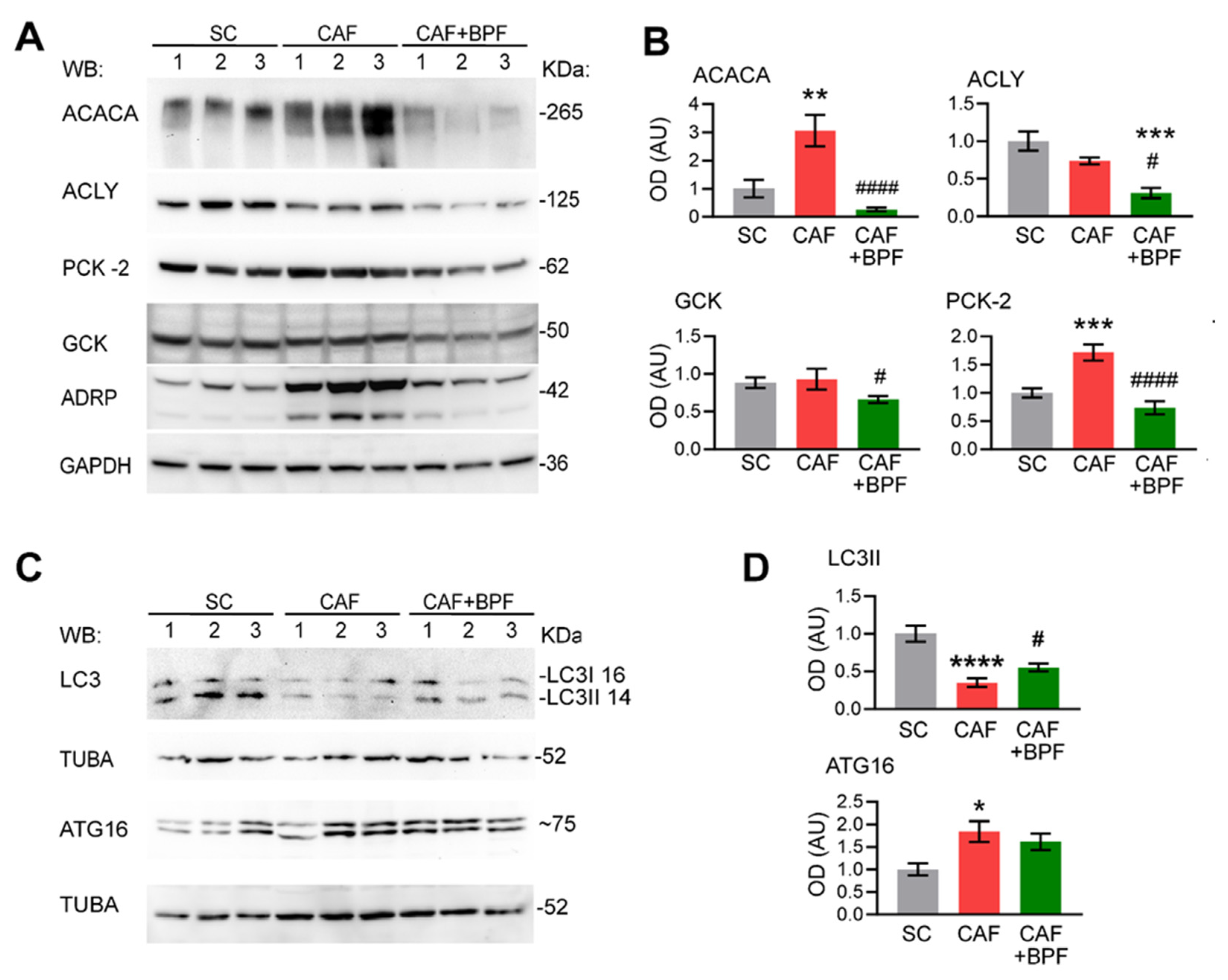 Preprints 103625 g008