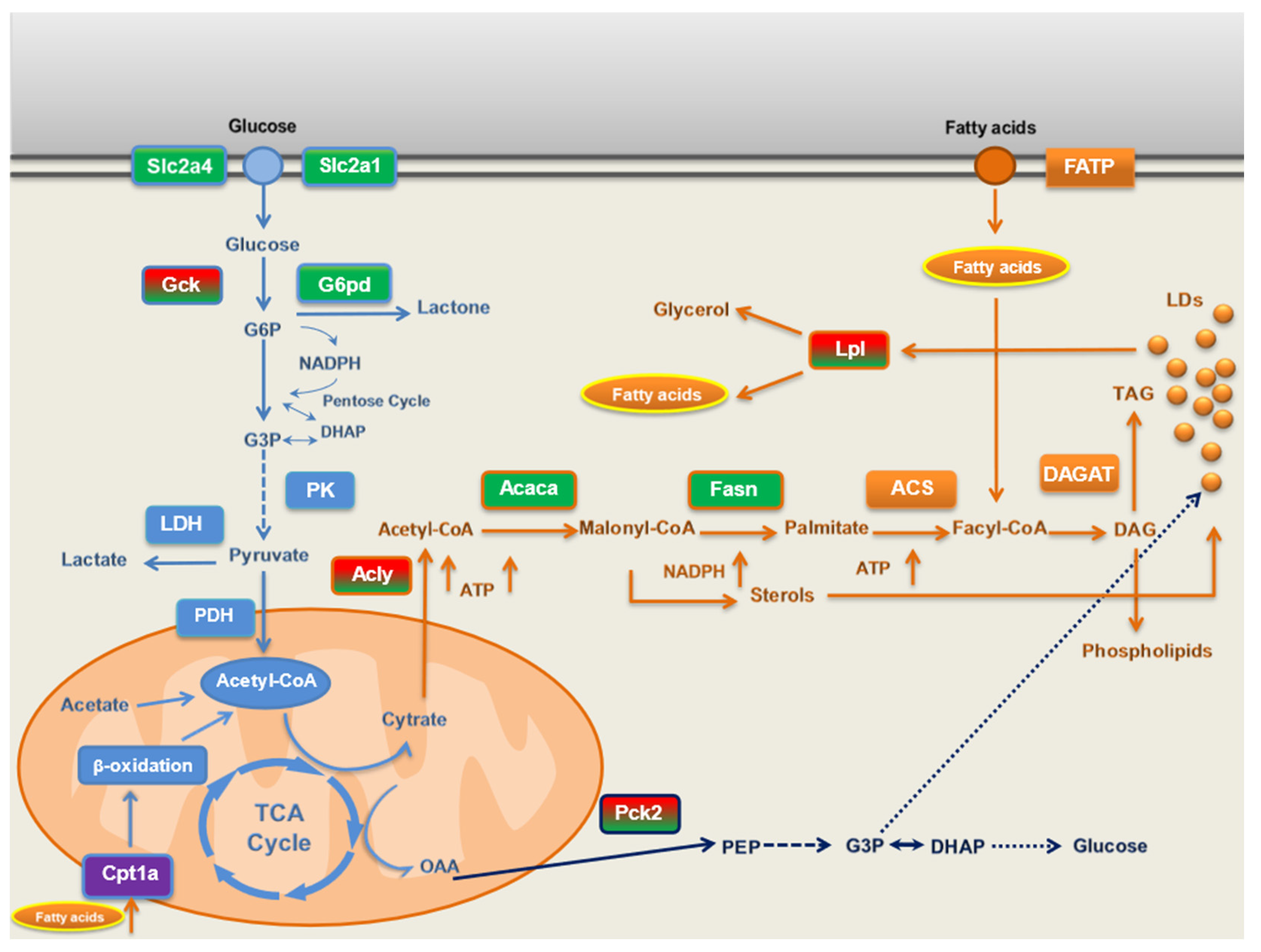 Preprints 103625 g009