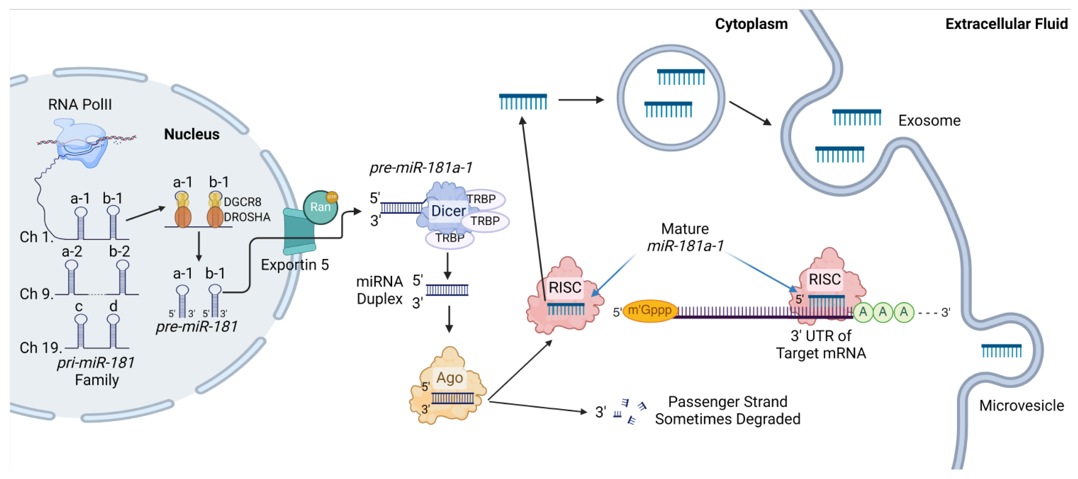 Preprints 119522 g001