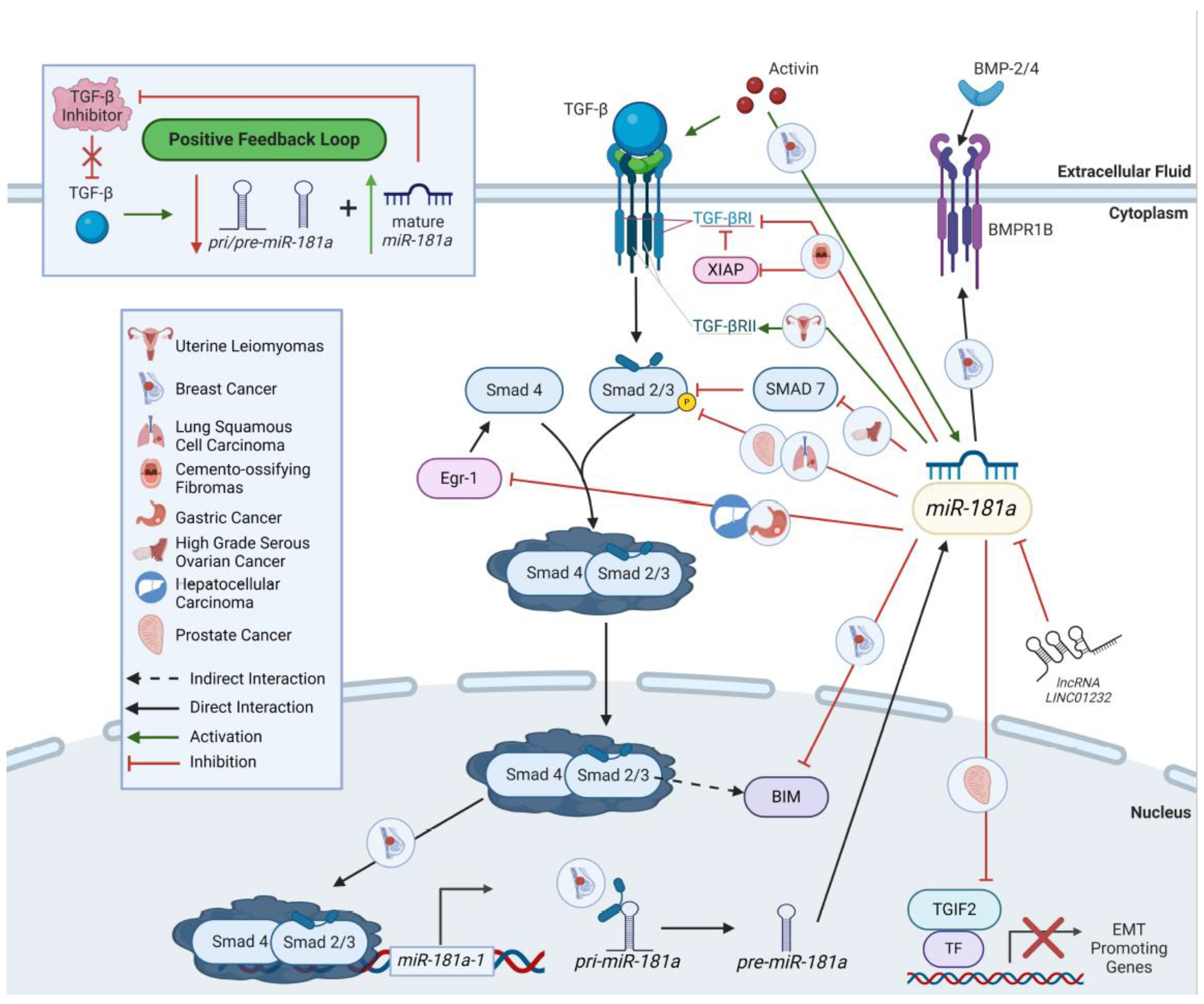 Preprints 119522 g002