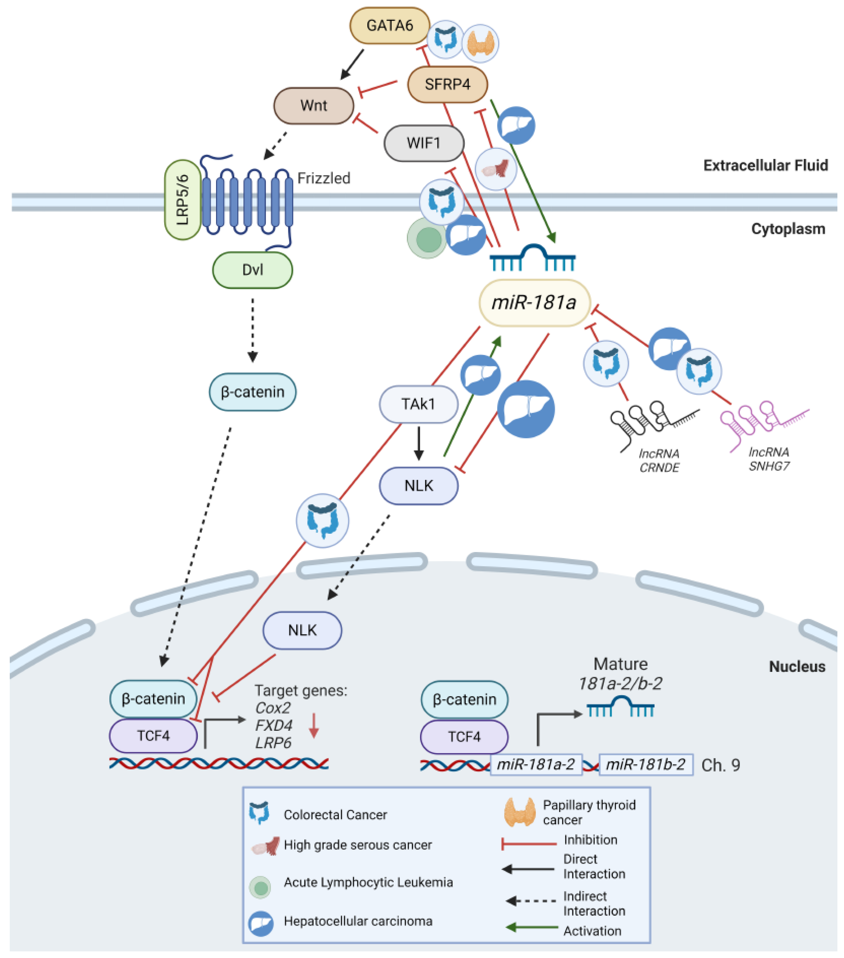 Preprints 119522 g003