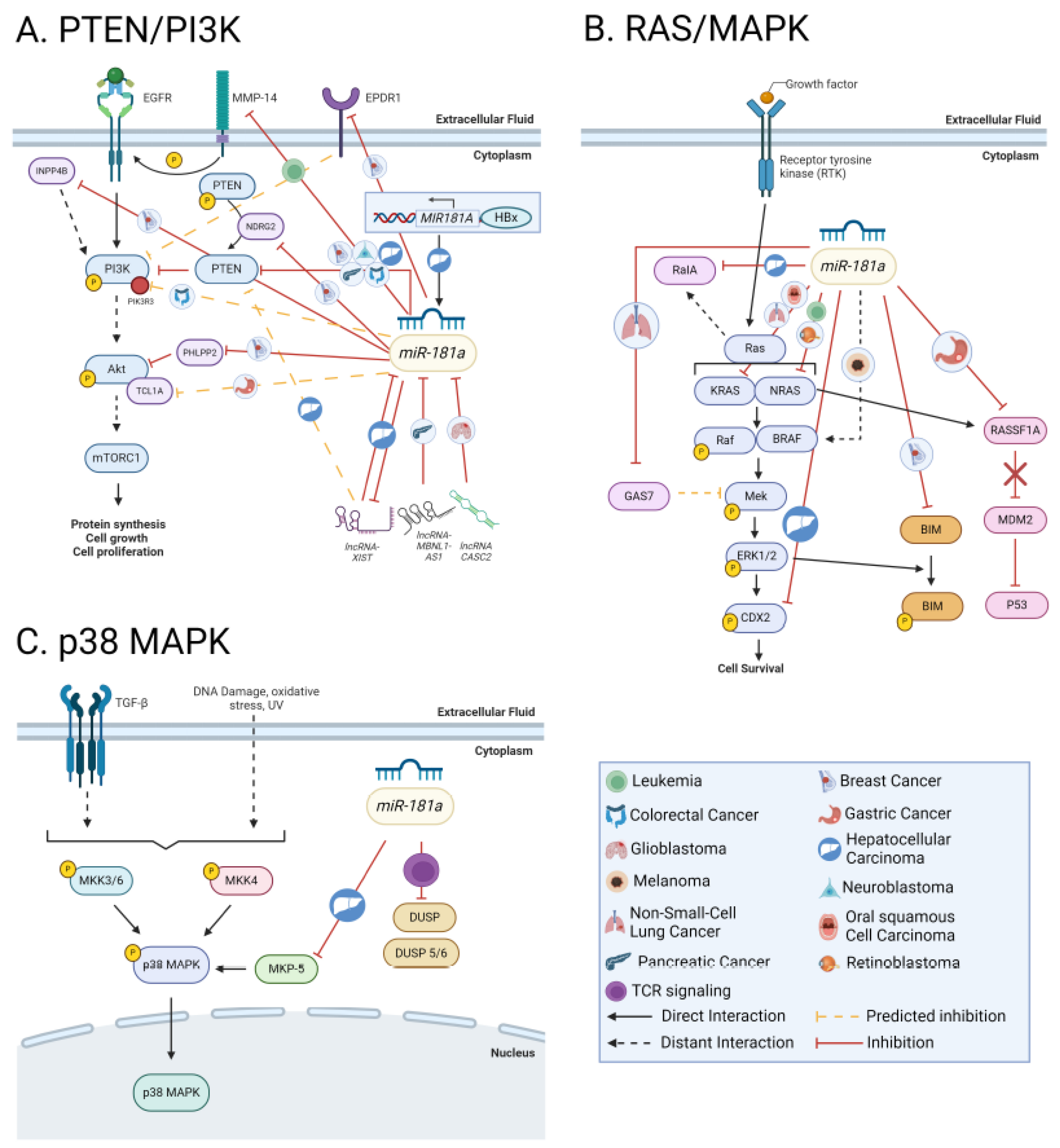 Preprints 119522 g004