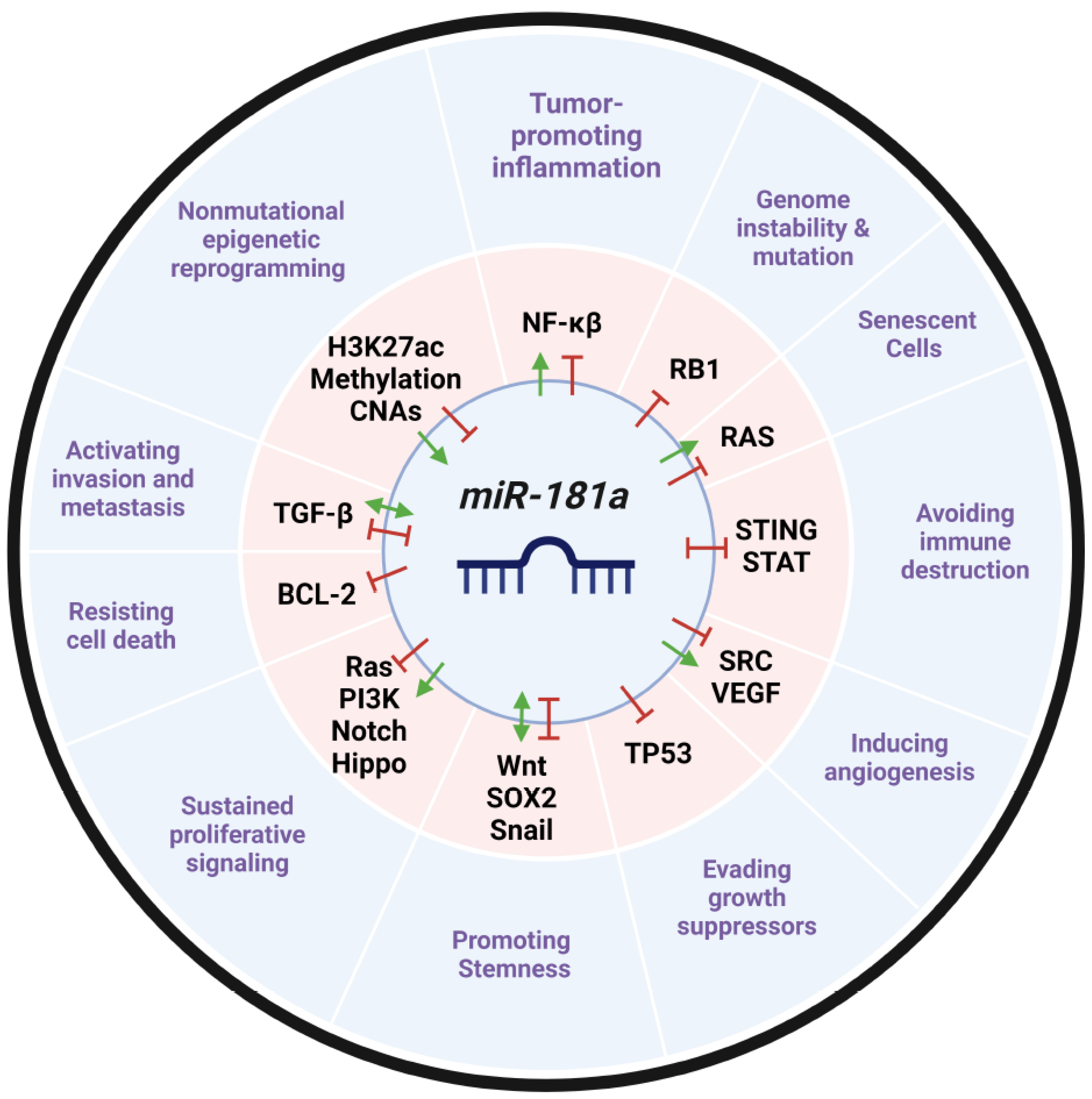 Preprints 119522 g006