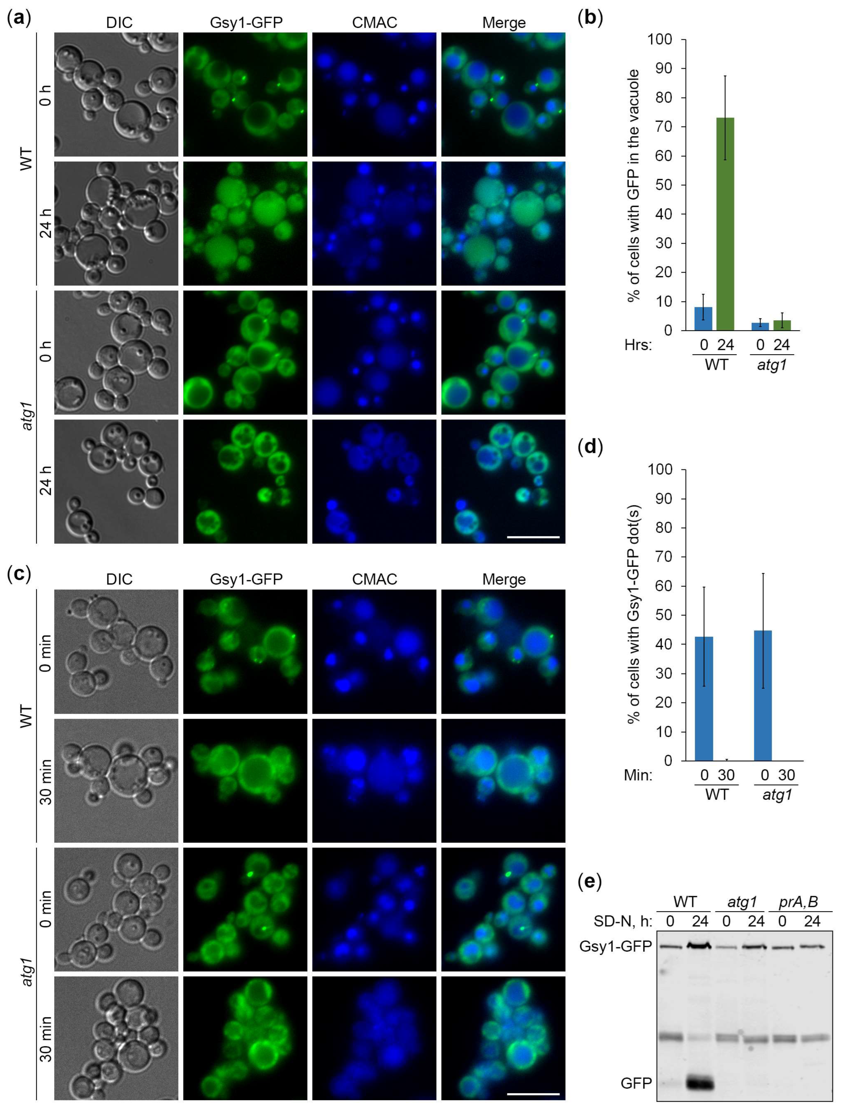 Preprints 119517 g002