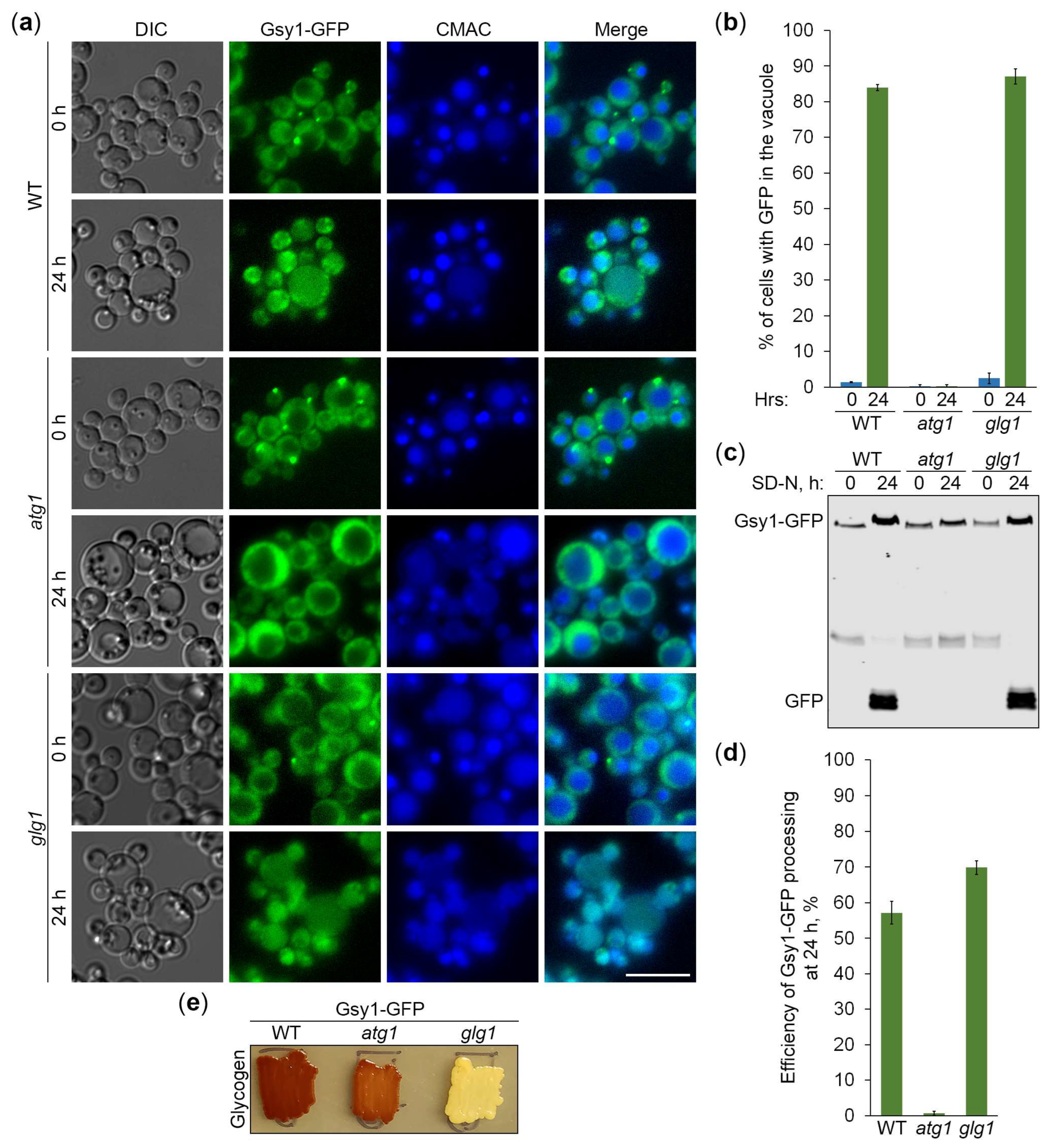 Preprints 119517 g003