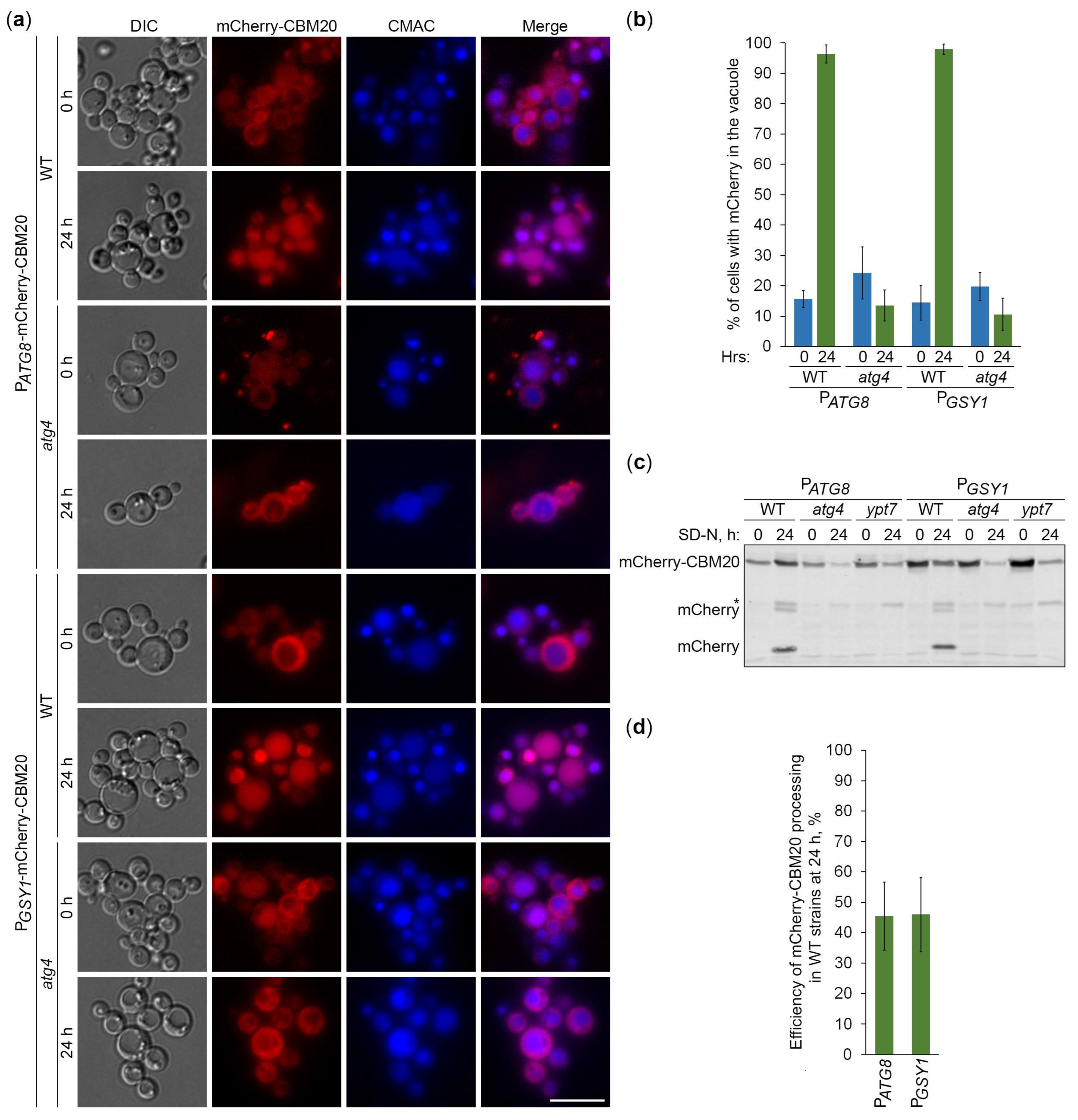 Preprints 119517 g005