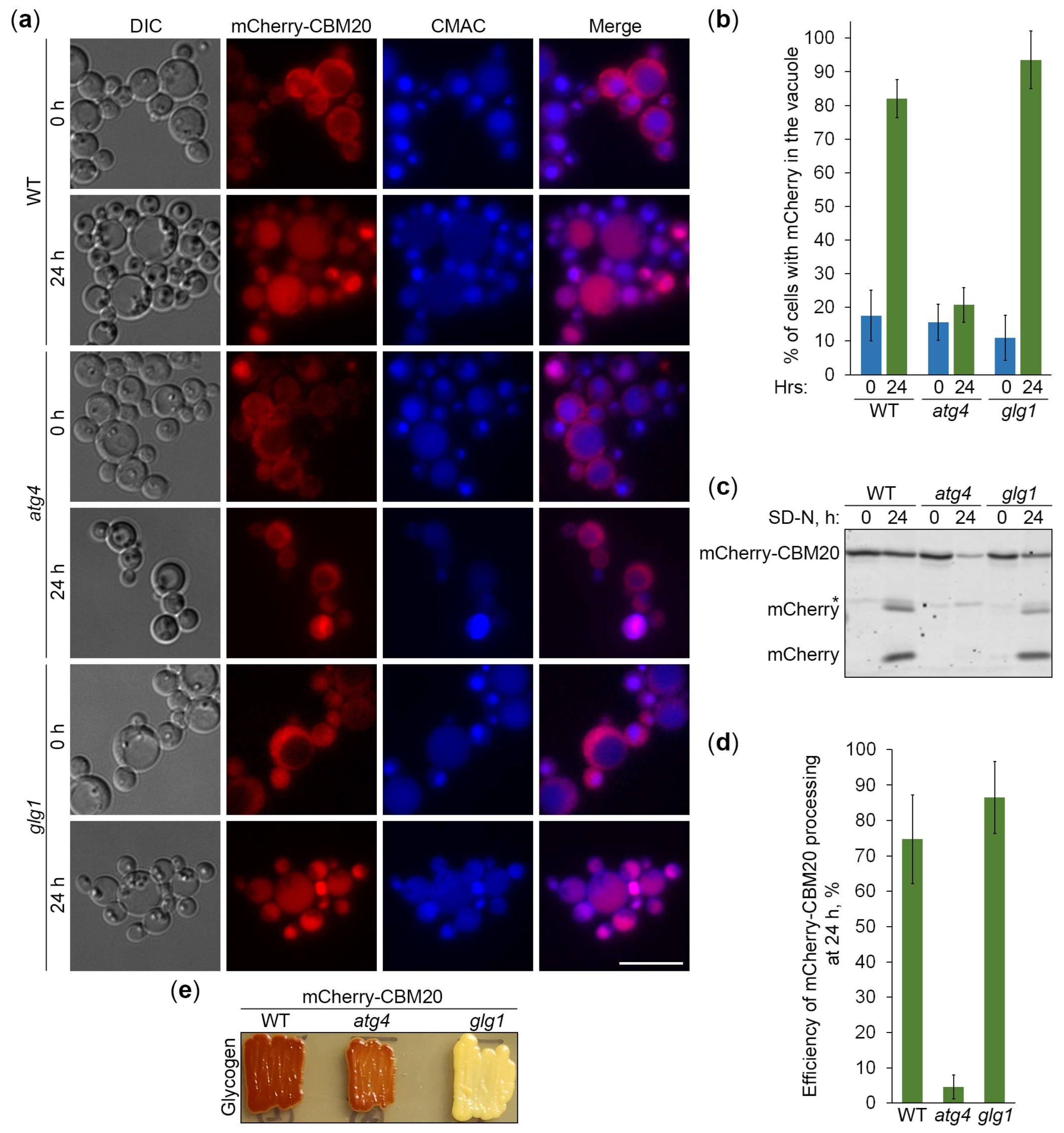 Preprints 119517 g007