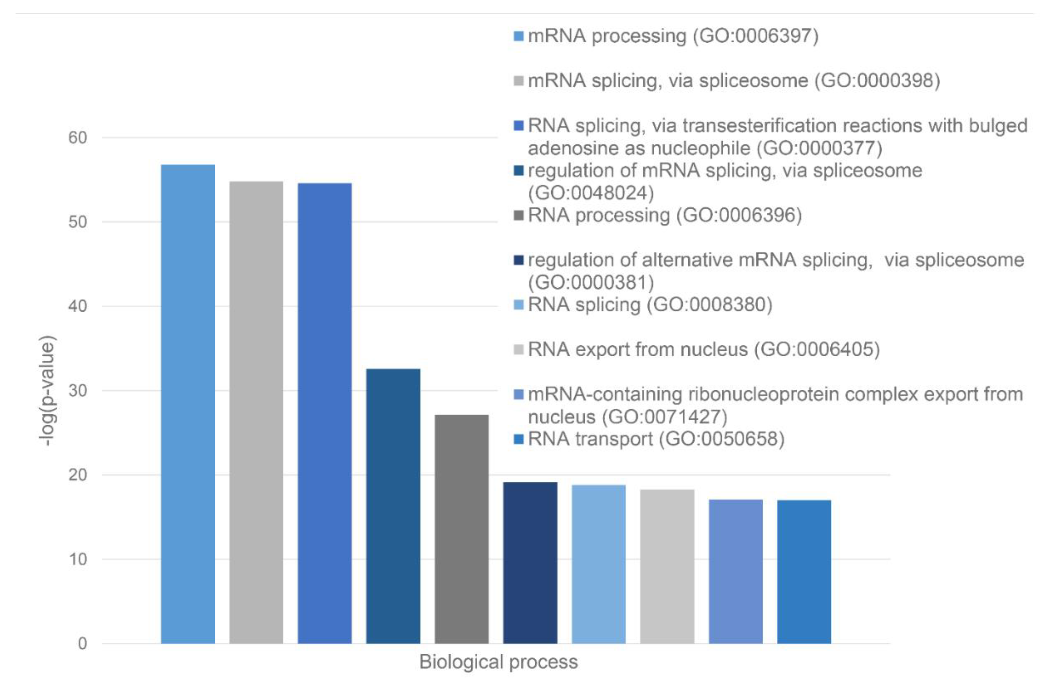 Preprints 72299 g013