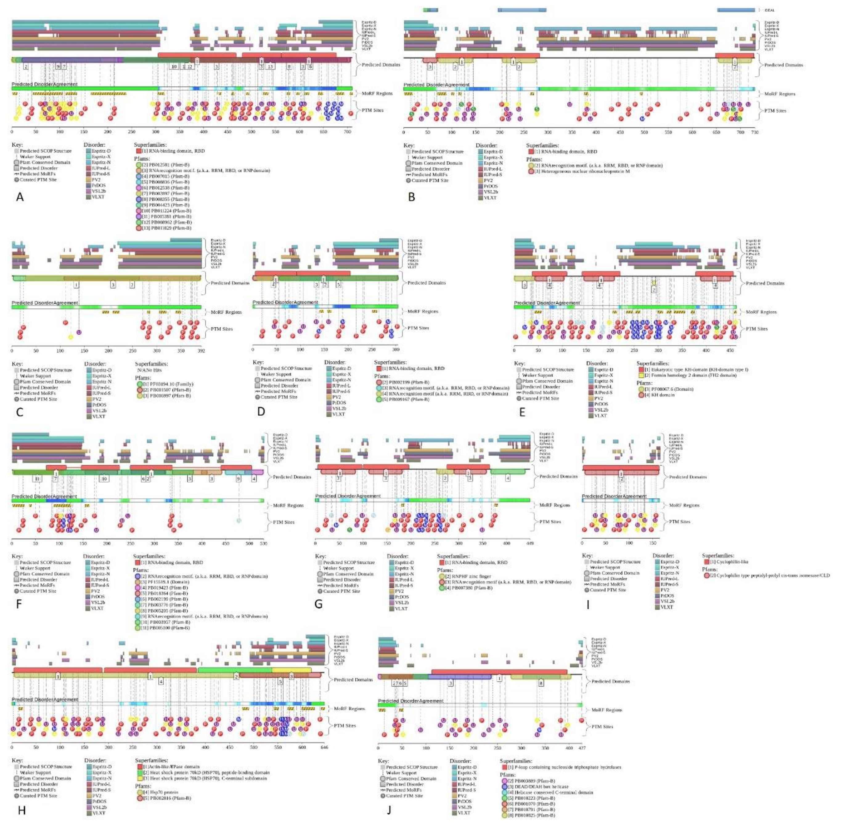 Preprints 72299 g017