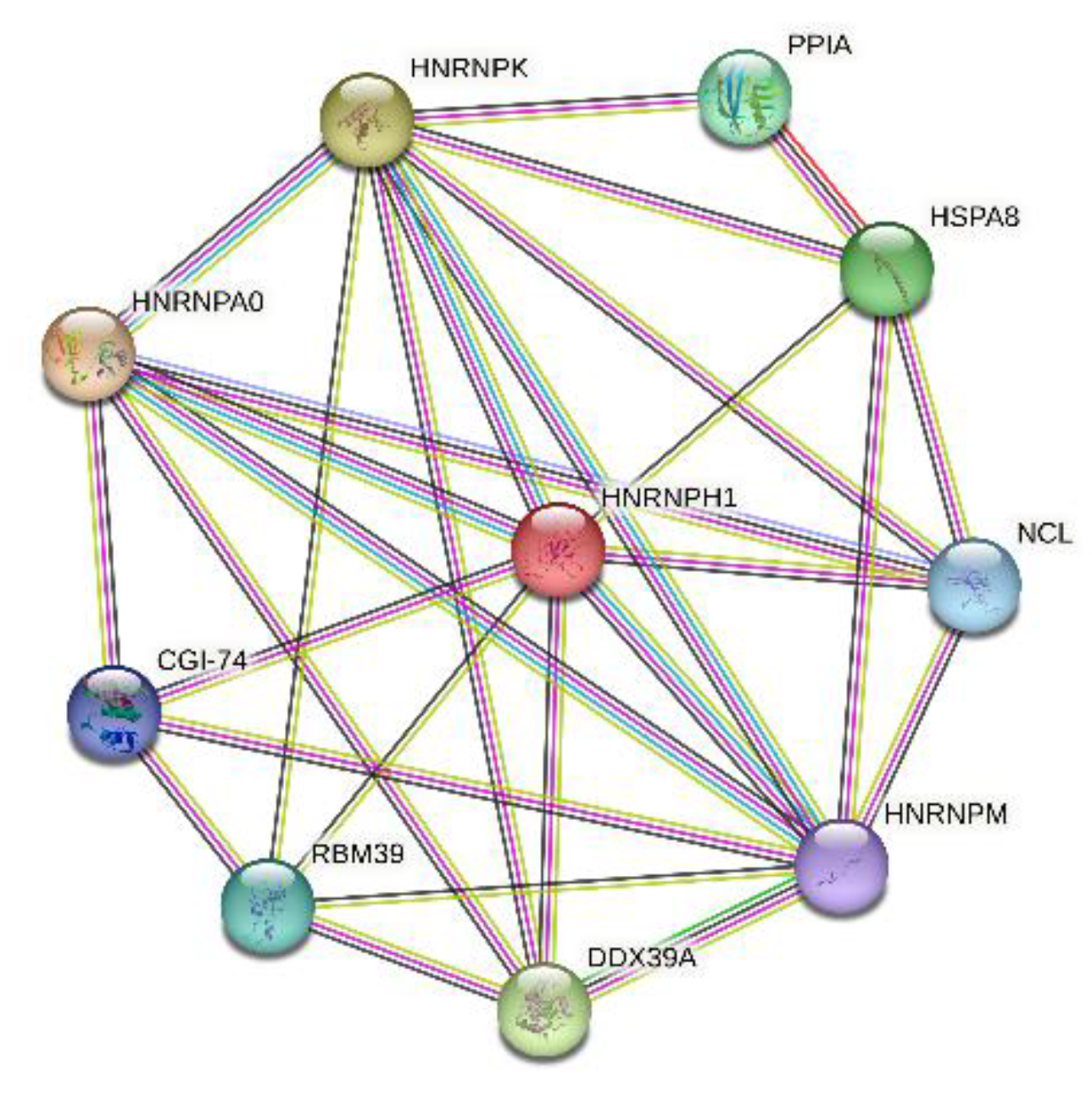 Preprints 72299 g019