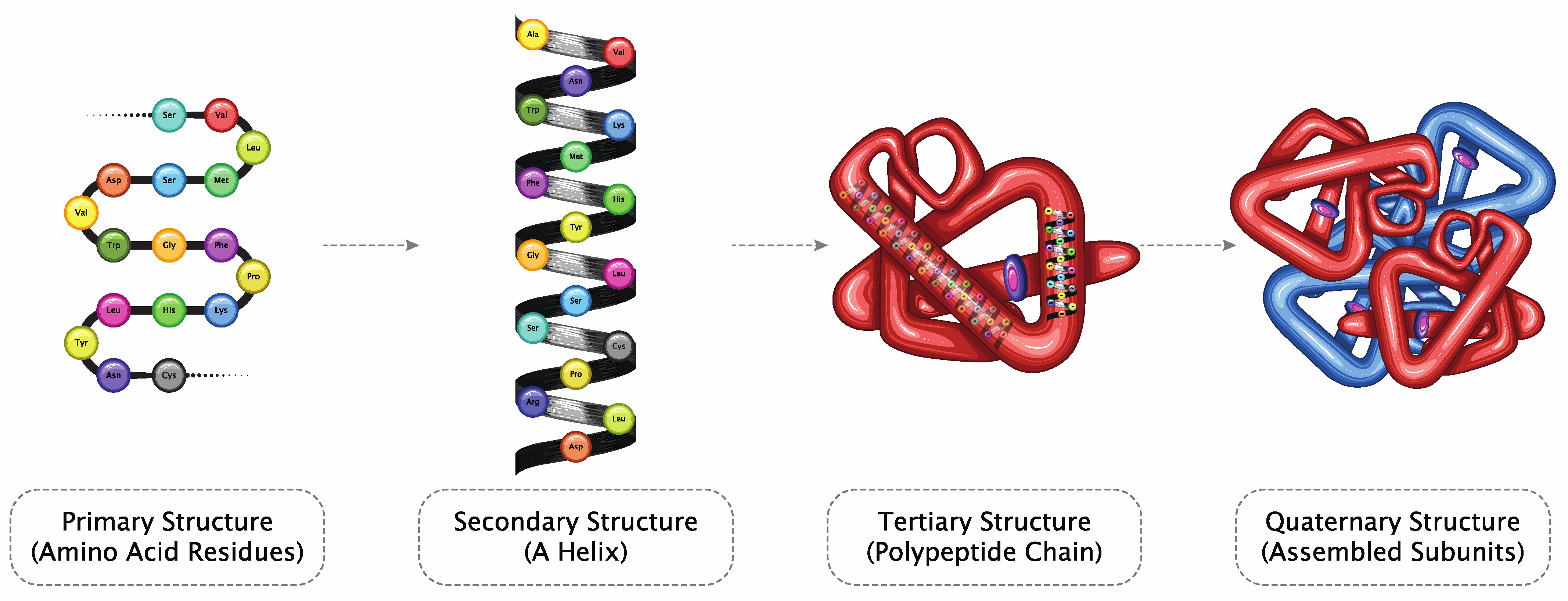 Preprints 70148 g001