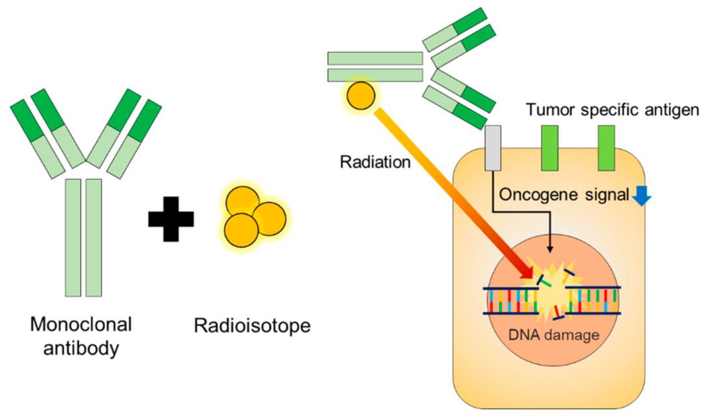 Preprints 70148 g005