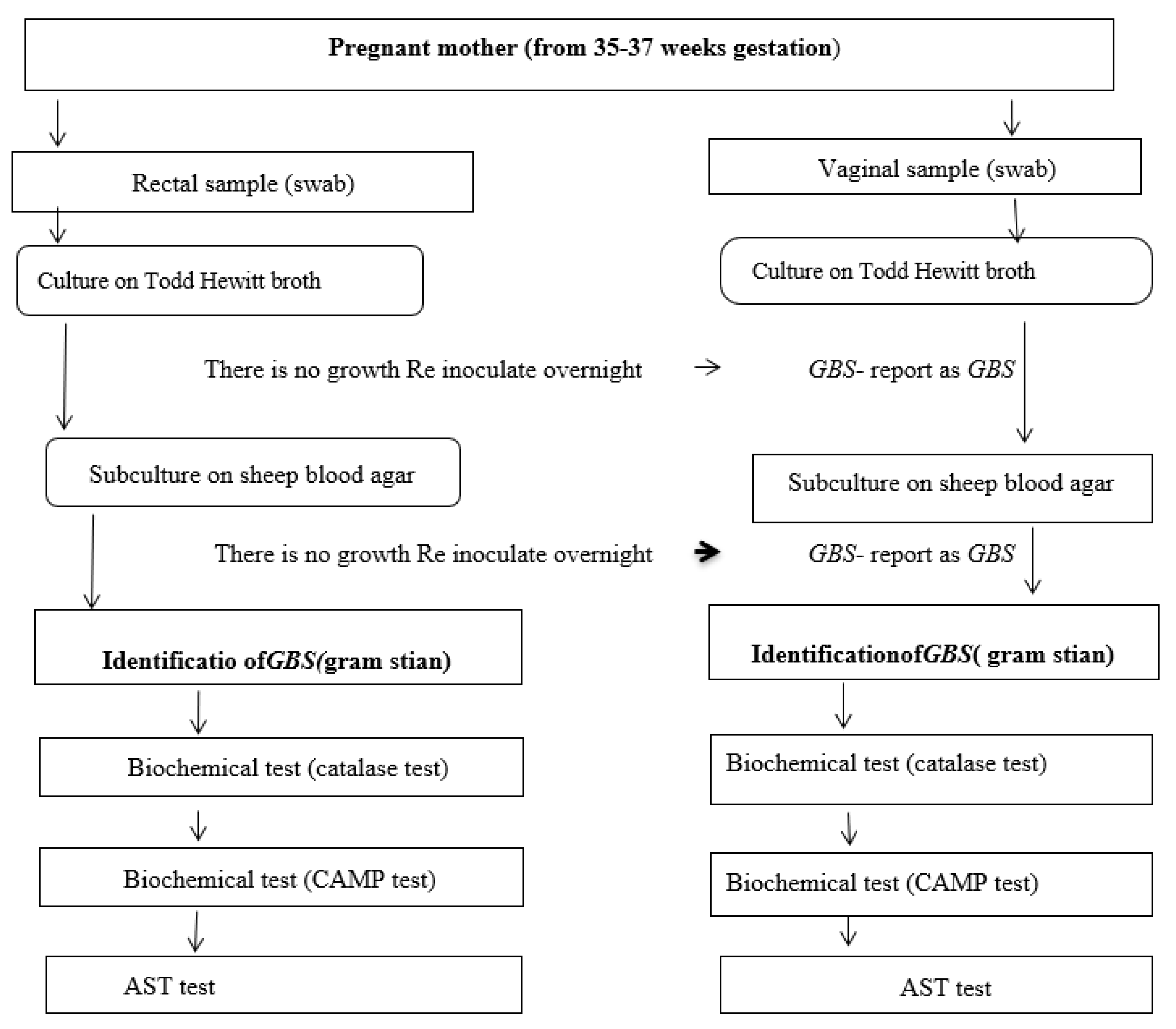 Preprints 74734 g001